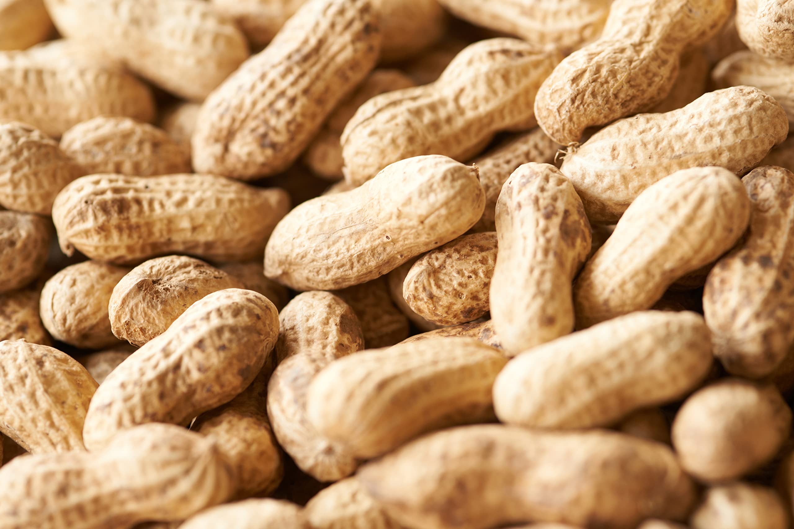 Amazon.co.jp: Mamesho Namagakata Chiba Yachimata-grown Peanuts Top