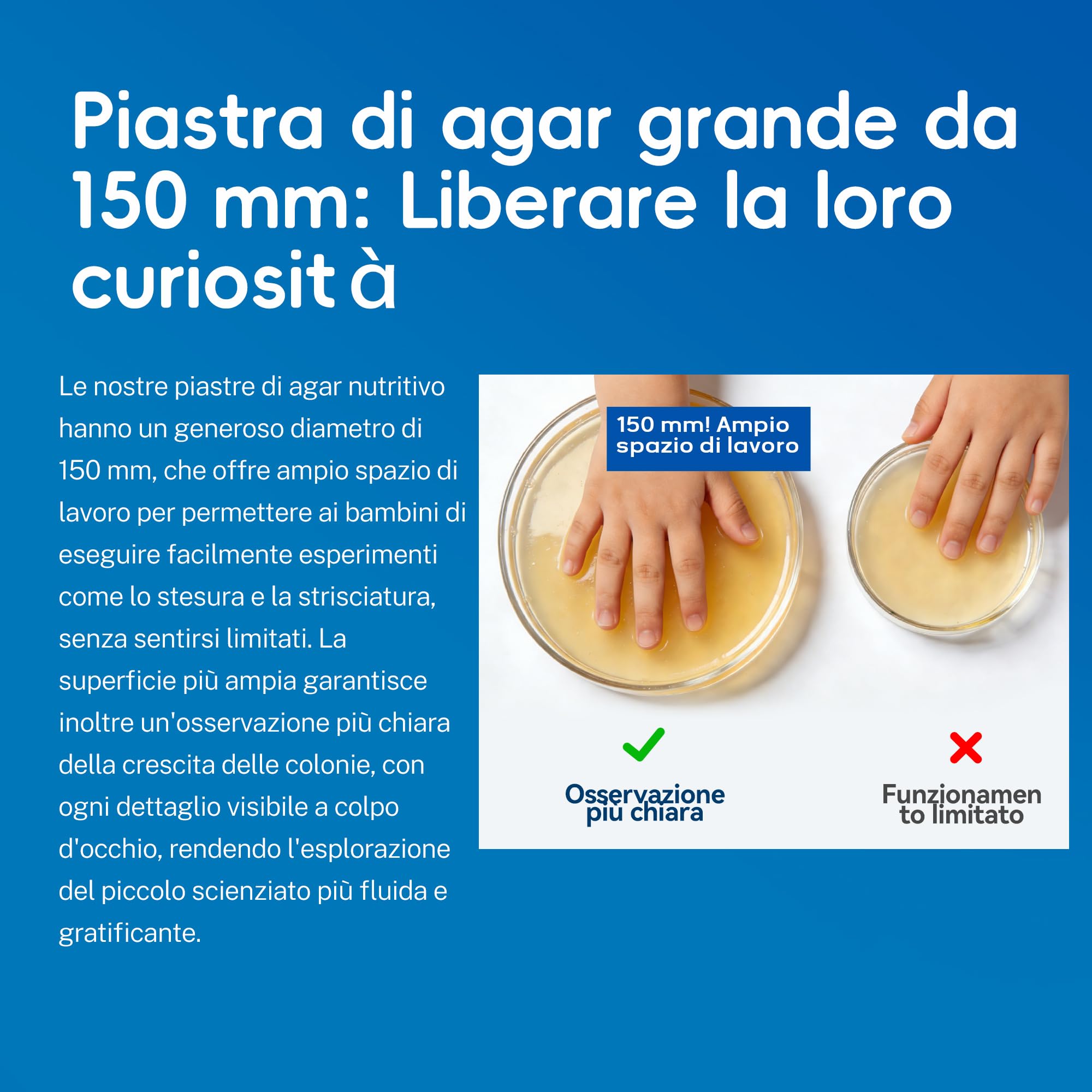 Kit per impronte di batteri per bambini, 2 piastre giganti di agar Petri pre-versate da 150 mm, progetto scientifico per esperimenti di microbiologia, con lente d'ingrandimento e tamponi sterili