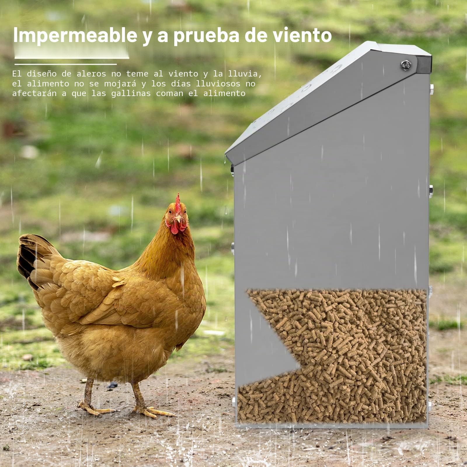 Alimentador automático de pollo de 4,5 kg, de acero inoxidable, con cuchara, dispensador de alimentos, comedero para gallinas, patos, aves de corral, comedero de pollo al aire libre
