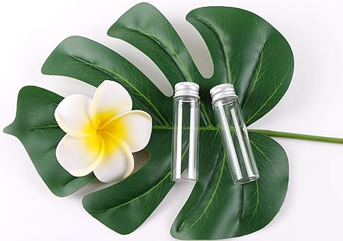 Miniatura 4 de MaxMau 24 Glass Small Bottles 20ml Mini Jars with Screwed Metal Lids Clear Tiny Vials Aluminium Top Caps Sealed Storing Jewelry Beads Miniature