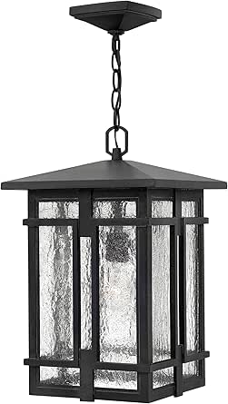 Hinkley Tucker One Light Large Outdoor Hanging Lantern, Museum Black