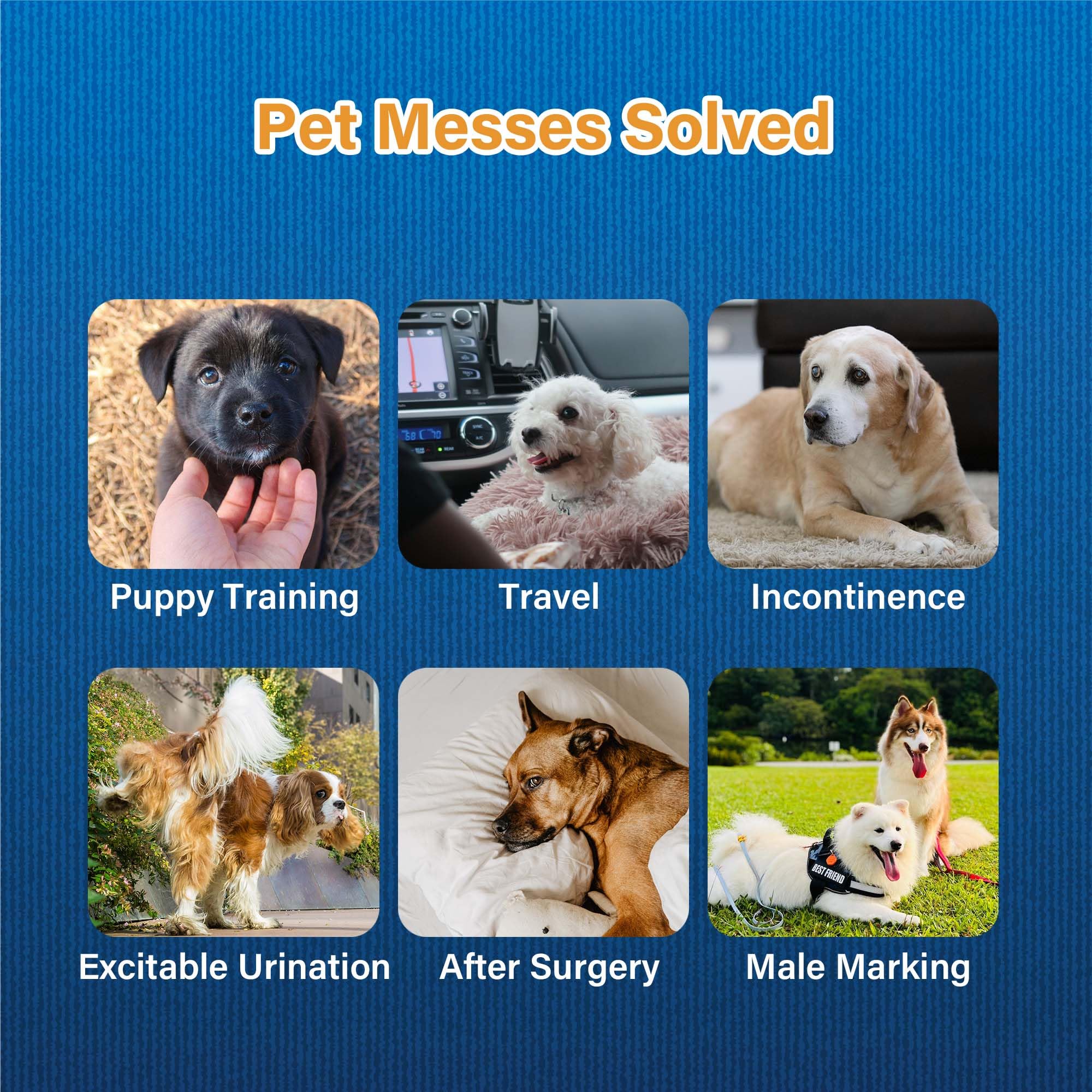View 5