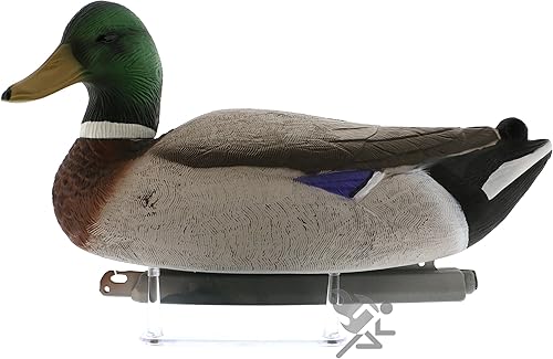 Miniatura 3 de OnFireGuy Soporte de exhibición de cuatro clavijas de 6.25" con protectores antiarañazos para señuelos de caza, minerales y fósiles, cantidad: 1