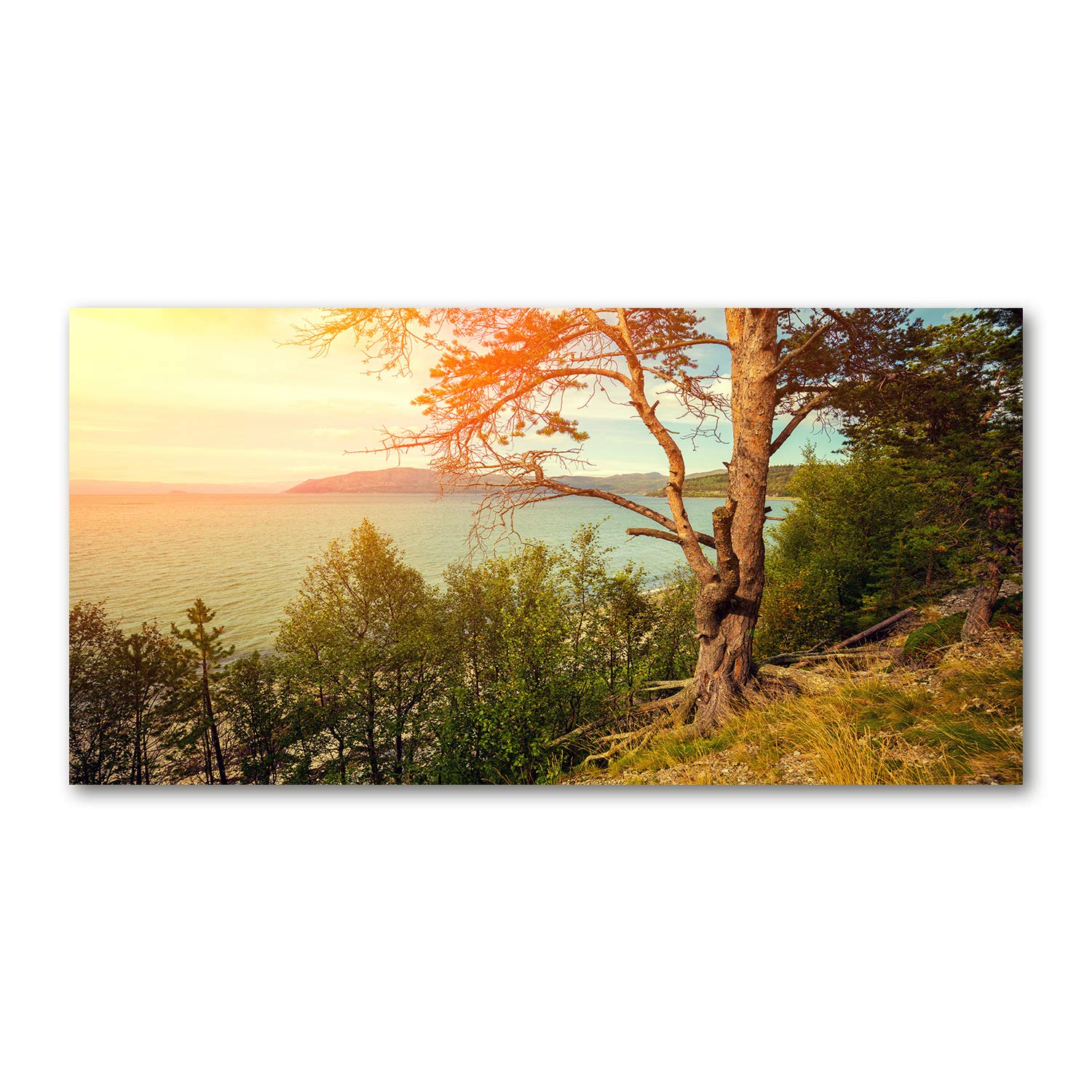 Tableau acrylique 120x60cm Tulup pour remplacer les cadres fragiles