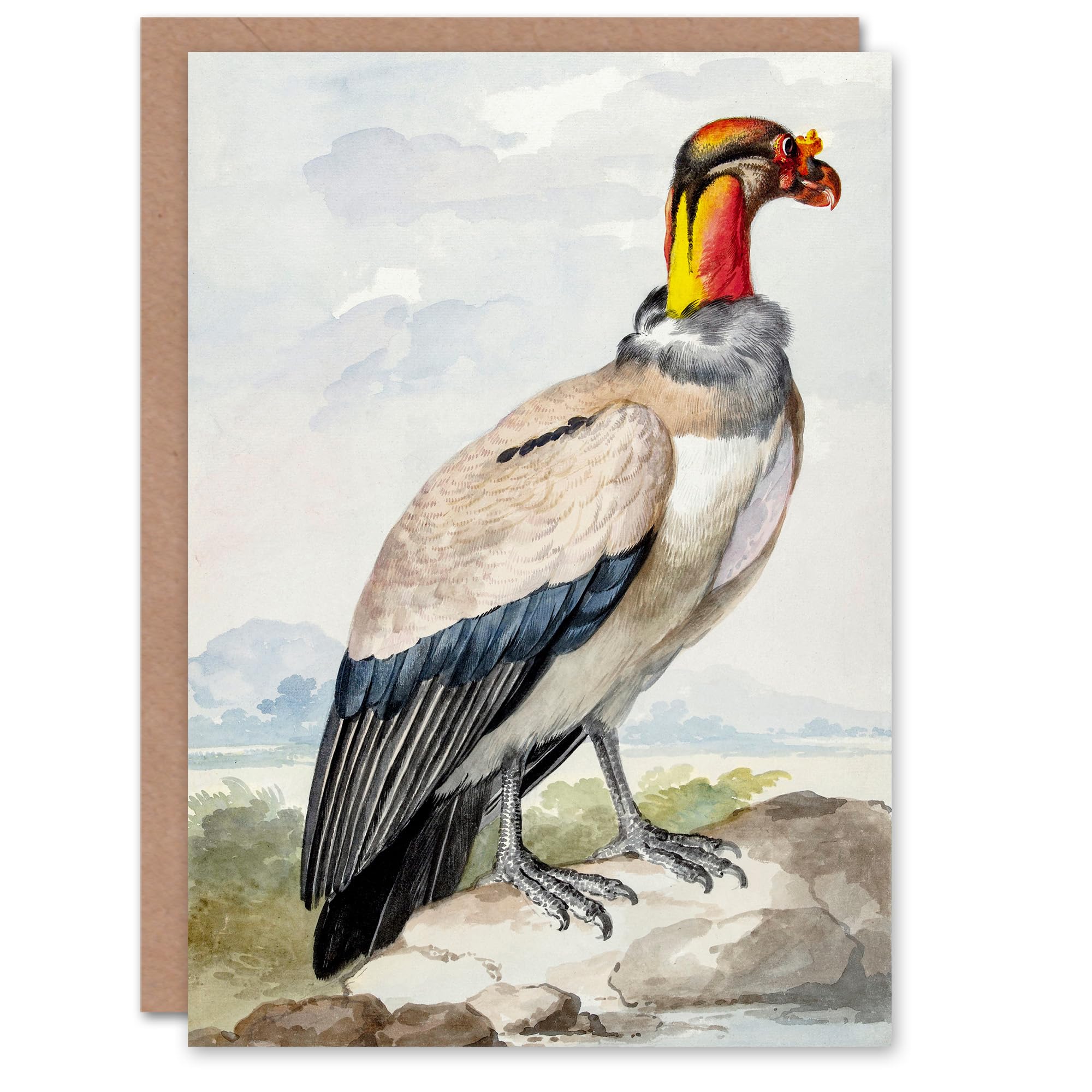 Artery8 Aert Schouman Art Card King Vulture Bird Vintage Watercolour