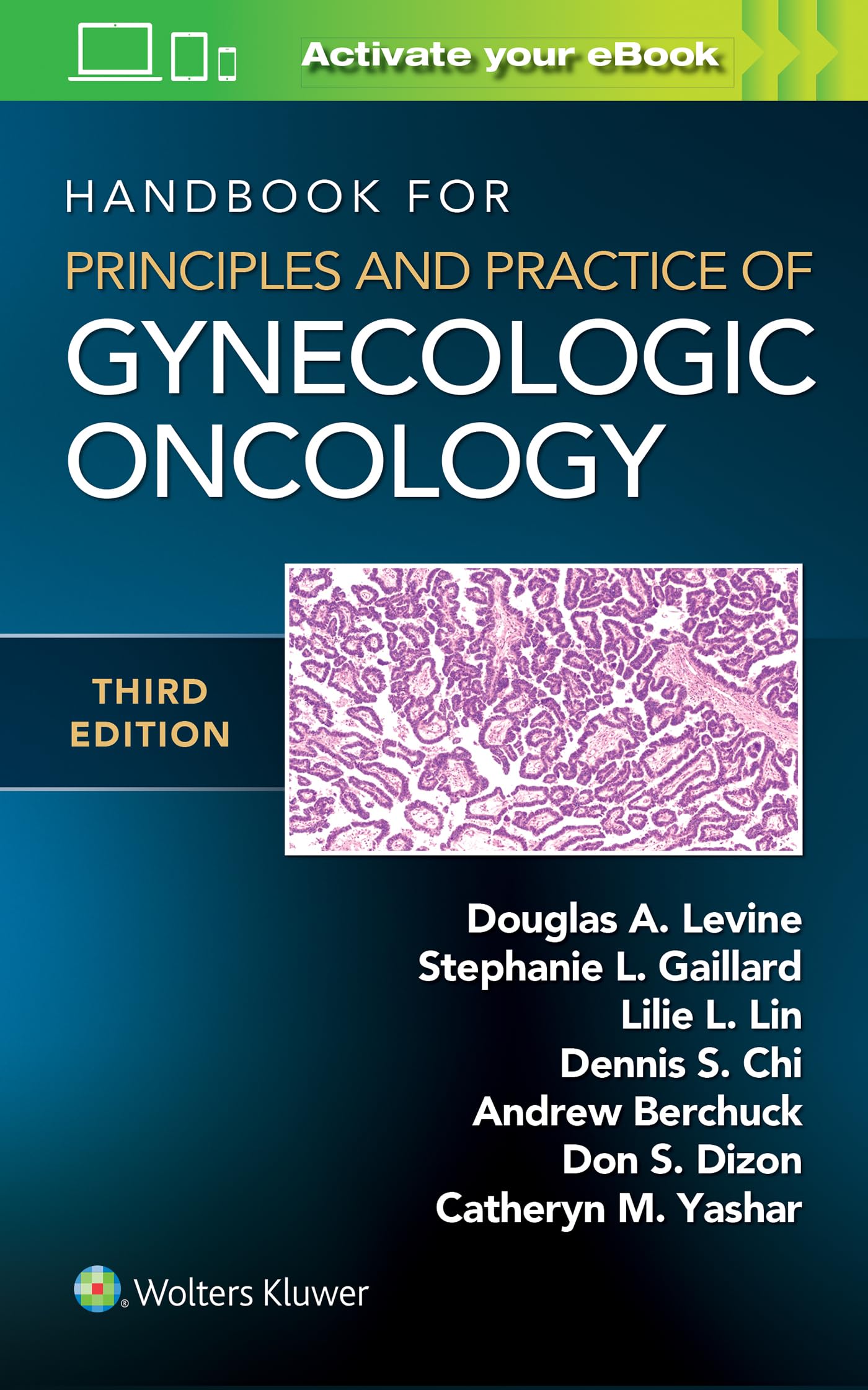 Handbook for Principles and Practice of Gynecologic Oncology ...