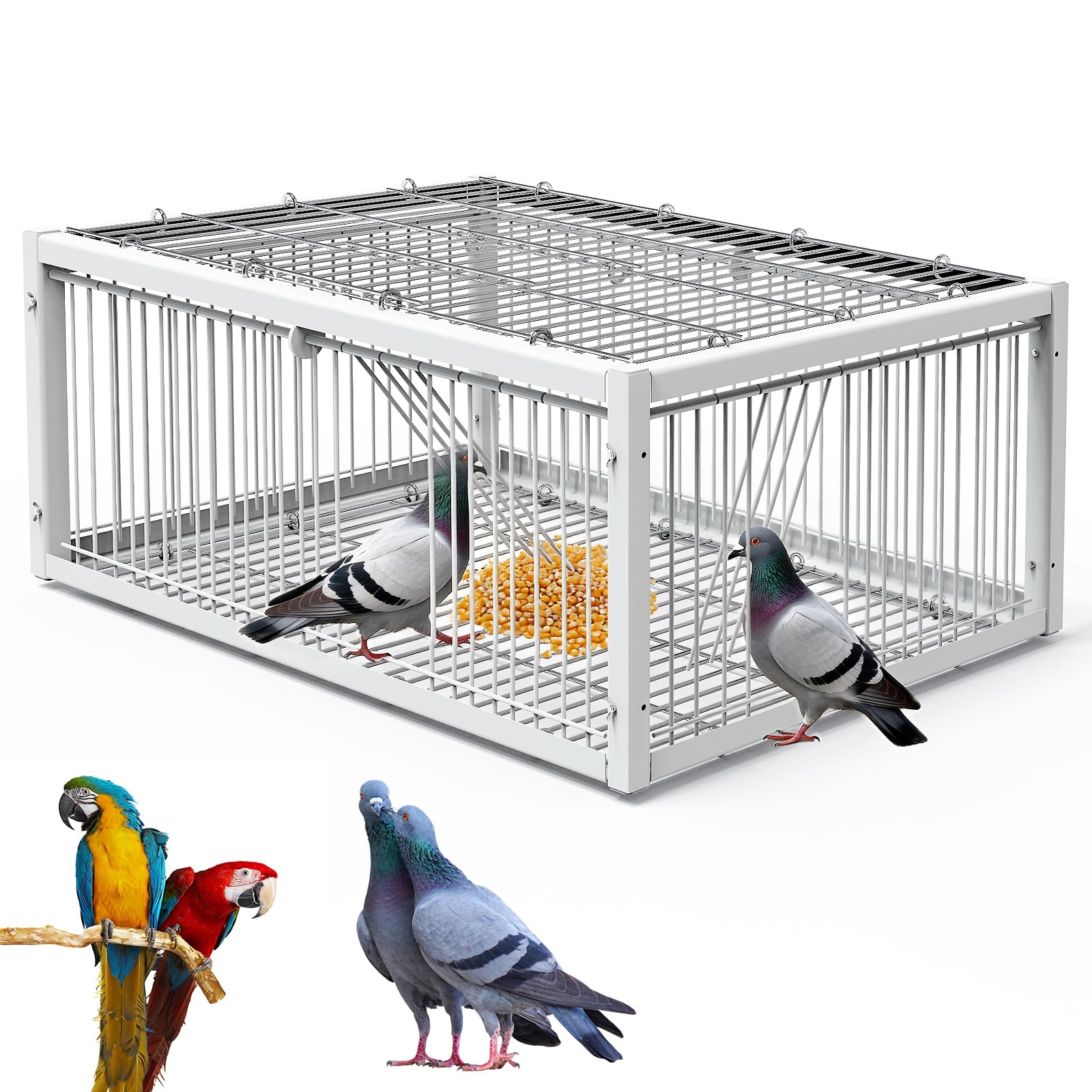 Jaula para palomas, 60 cm, con claraboya superior abierta, jaula de pájaros de palomas, palomas de carne, palomas de nieve, codornices (blanco)