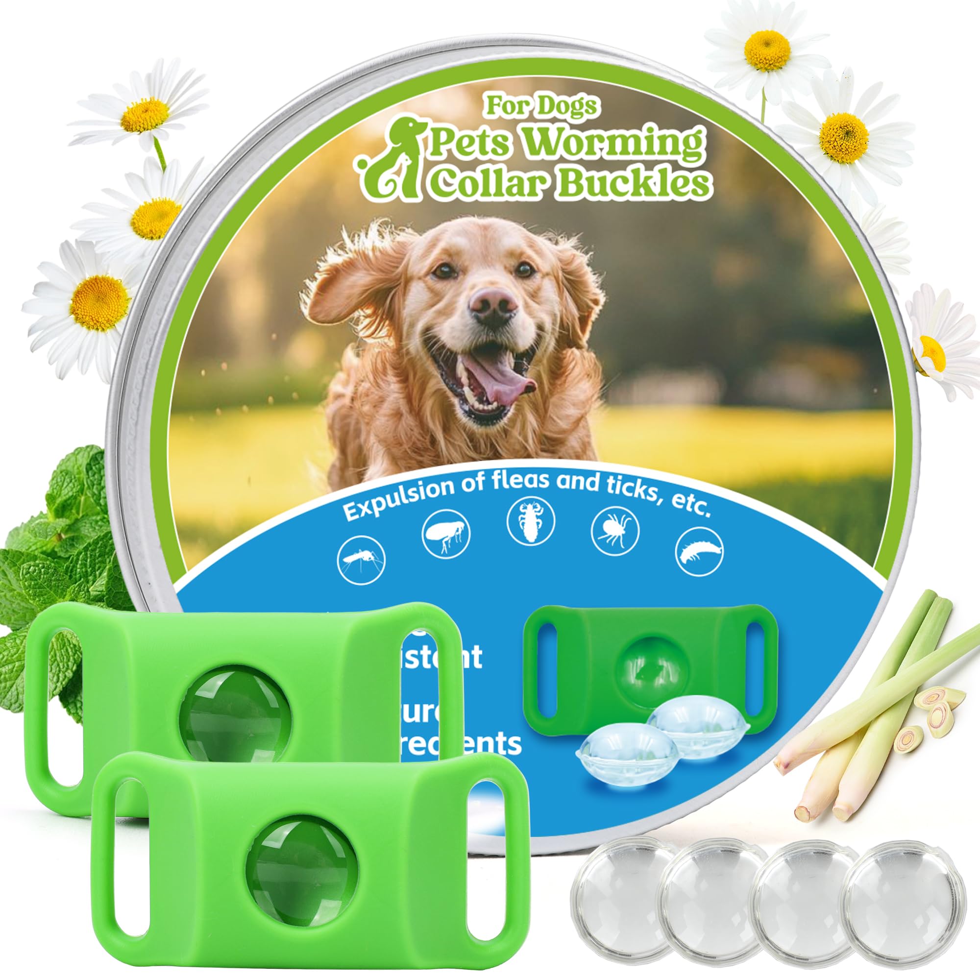 Natural Dog Tag Pendant