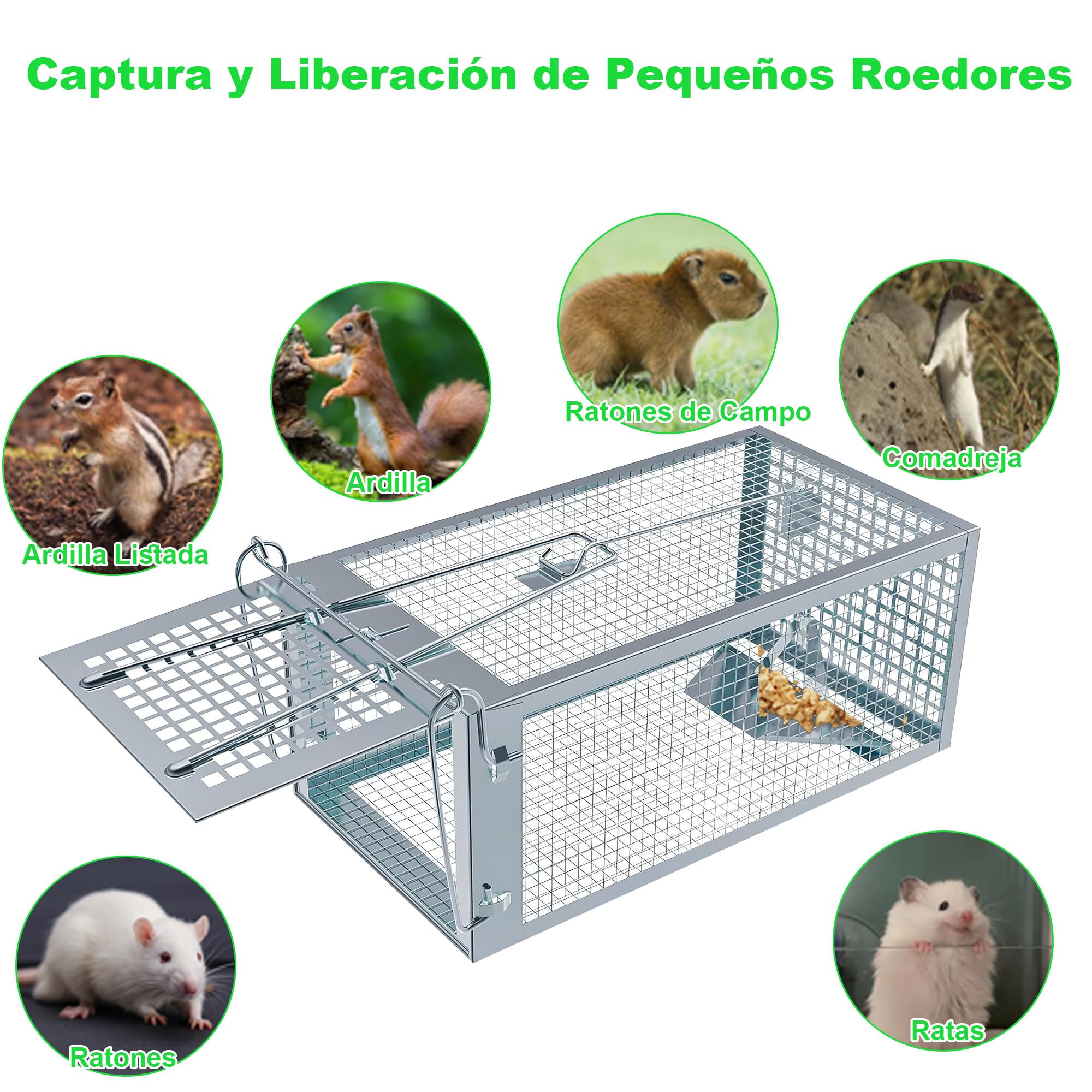 Trampa para Ratones Vivo, 2 PCS XL Trampas Ratas para Interiores y Exteriores Sin Matar Cepos para Ratones Reutilizable, Sin Mecanismo de Liberación Táctil para Cocina Jardín Hogar - 27 x14 x12 cm