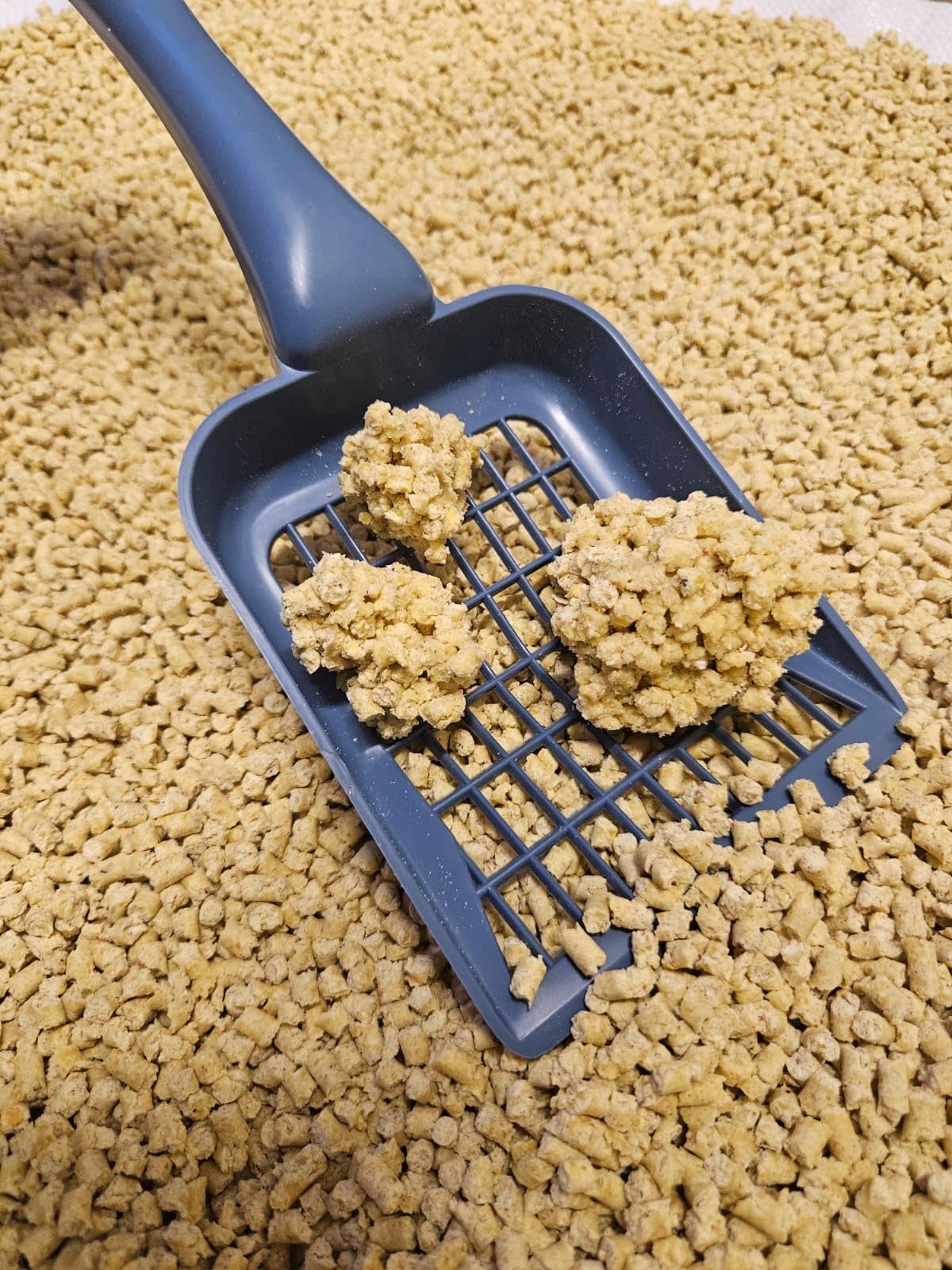 ASF Katzenstreu aus Mais 19 kg (35 l), klumpend - Naturstreu aus 100% Mais, staubarm, geruchsbindend, biologisch abbaubar, ohne Duftstoffe und chemische Zusätze, sanft zu Katzenpfoten