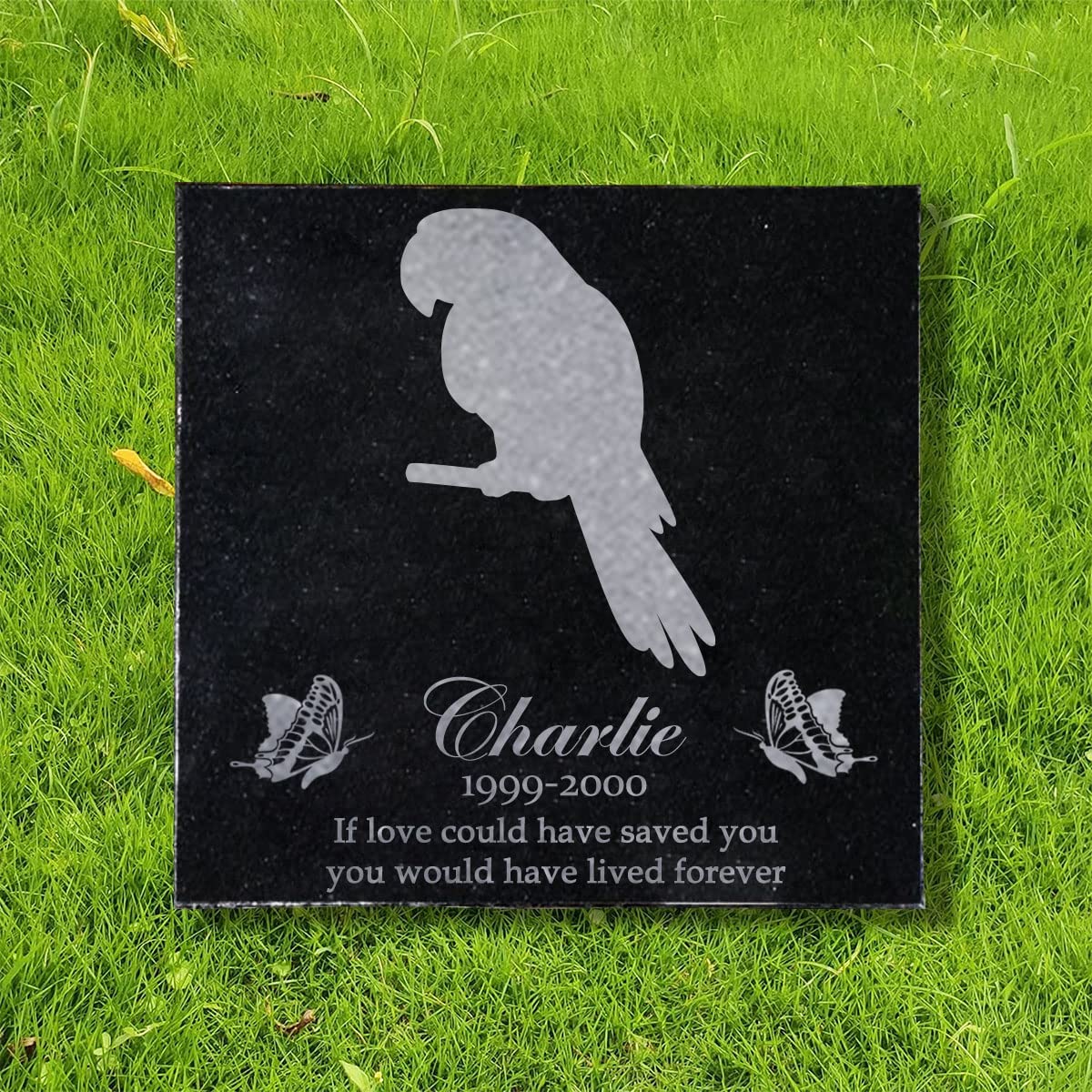 Toiveikas 6x6 inches Parrot Memorial Stone Gift, Personalized Pet Memorial Stones, Black Granite Memorial Garden Stone Laser Engraved, Gifts for Someone Who Lost a Loved One