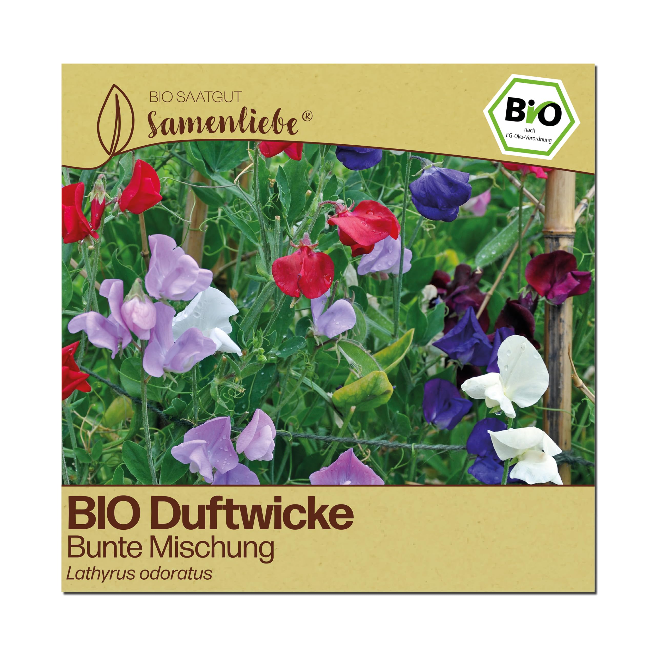 Samenliebe BIO Duftwicken Samen | Edelwicke bunte Mischung - stark duftend - samenfestes BIO Saatgut