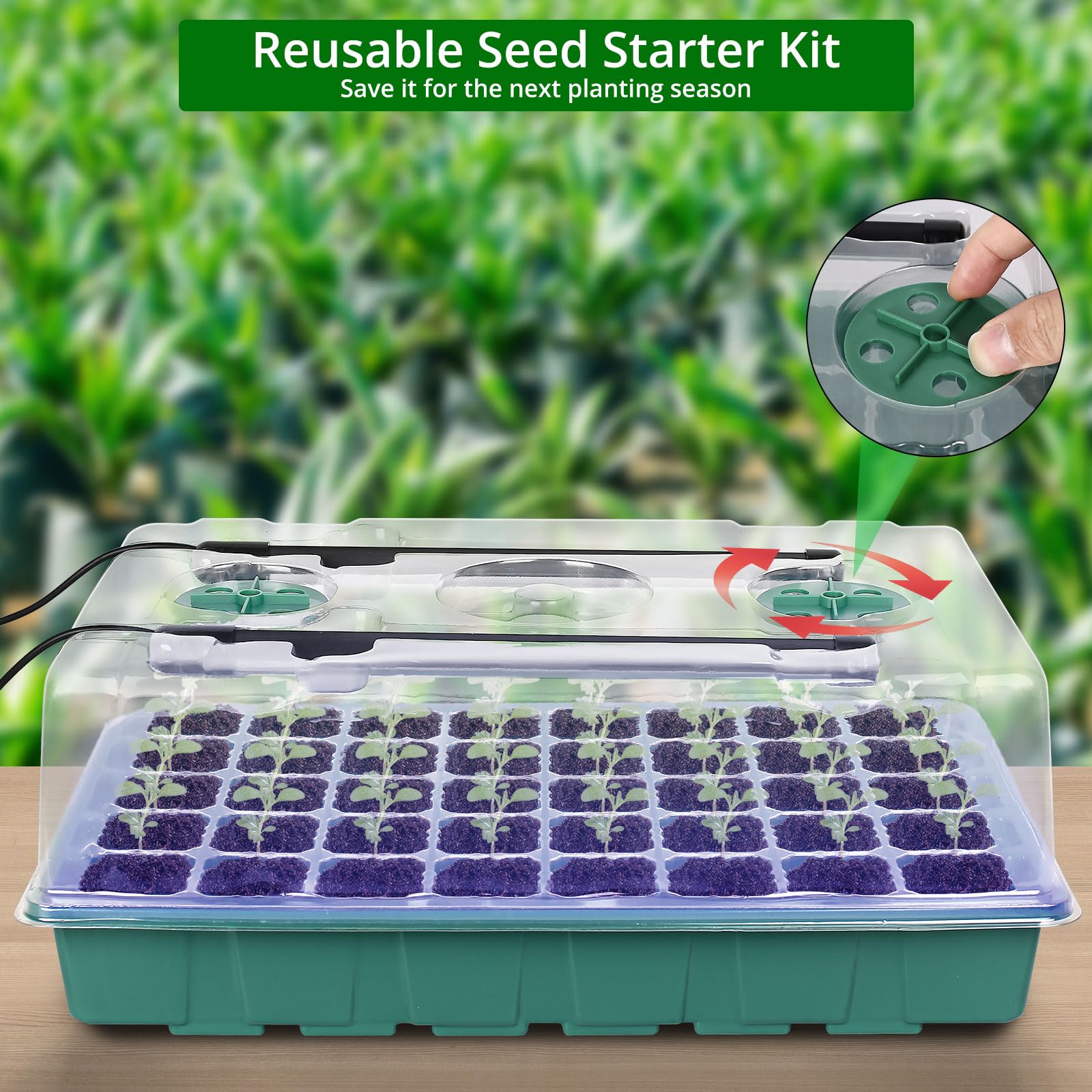 Sondiko Bandeja de inicio de semillas con luz de crecimiento, controlador digital de pantalla inteligente, kit de inicio de semillas de 80 celdas con cúpula de humedad, brillo ajustable, kit de