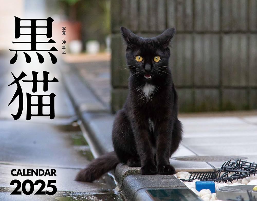 黒猫カレンダー2025 ([カレンダー]) | 沖 昌之 |本 | 通販 | Amazon