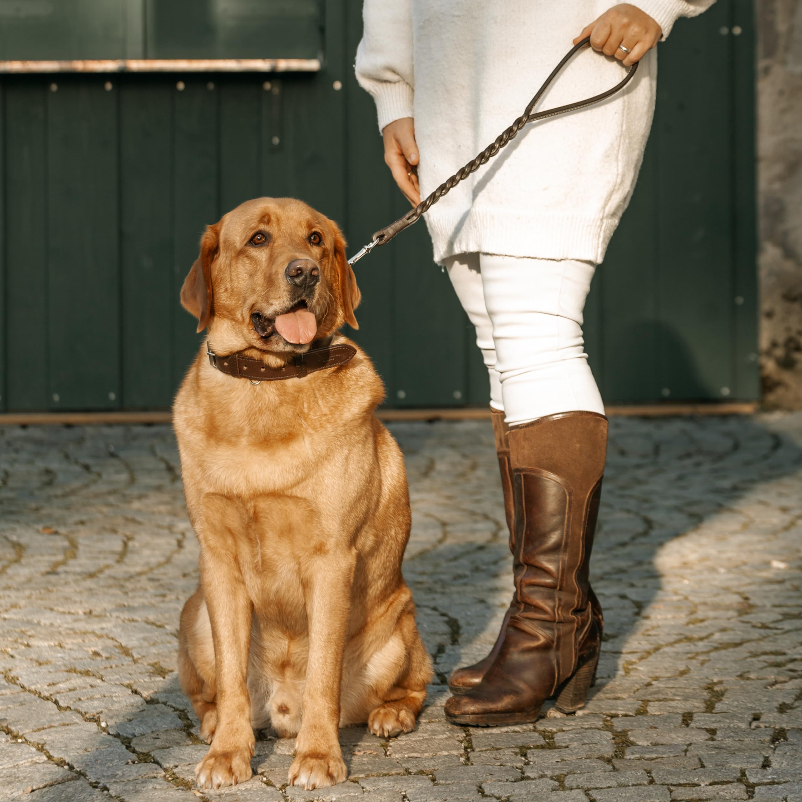 Gusti Leder Guinzaglio in pelle Hartwin – Guinzaglio corto per cani, guinzaglio stradale, guinzaglio per allenamento in pelle marrone
