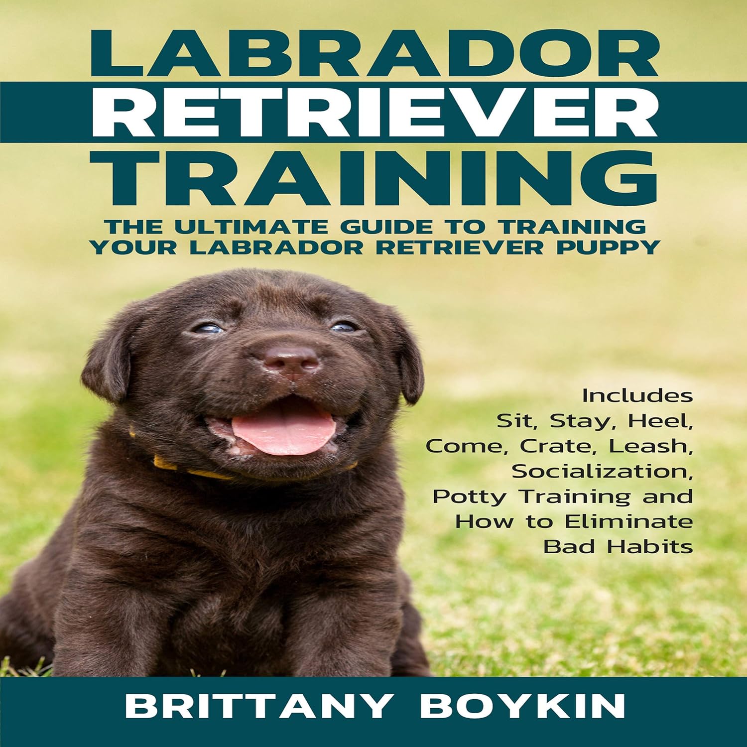 Labrador Retriever Training: The Ultimate Guide to... 4 Labrador Retriever Training: The Ultimate Guide to...