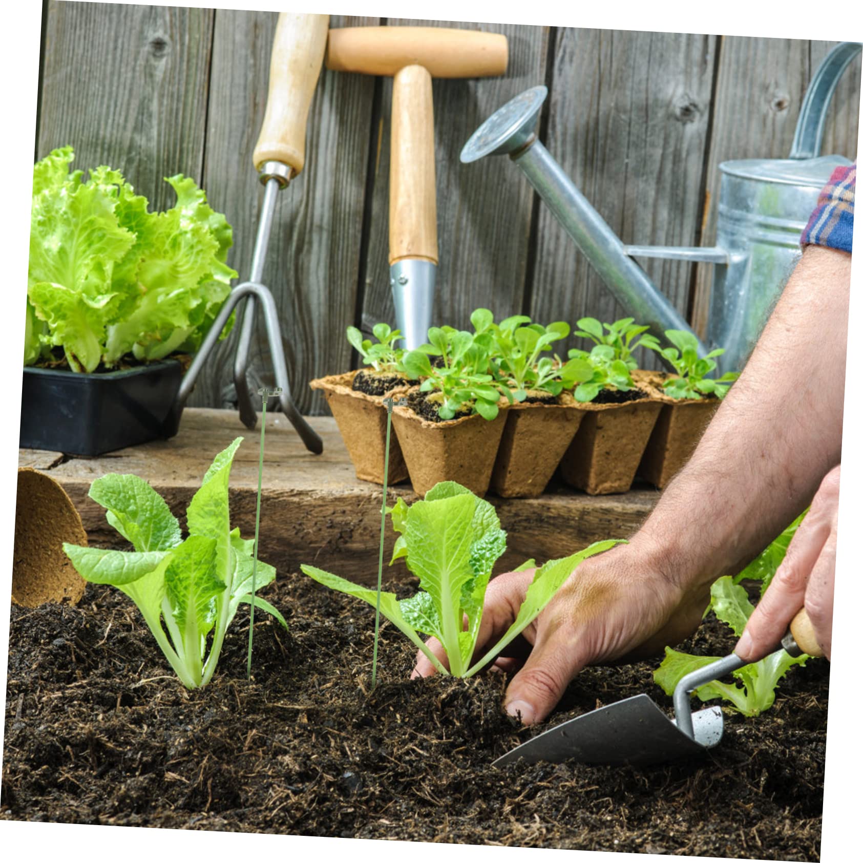 Toddmomy 3 Sätze Pflanzenstützrahmen Blumen- Anlage Pflanzenpfähle Stäbchen zur Unterstützung von Pflanzen Gitter Stützpfähle für den Garten Garteneinsätze kleine Gartenpfähle Plastik Grün