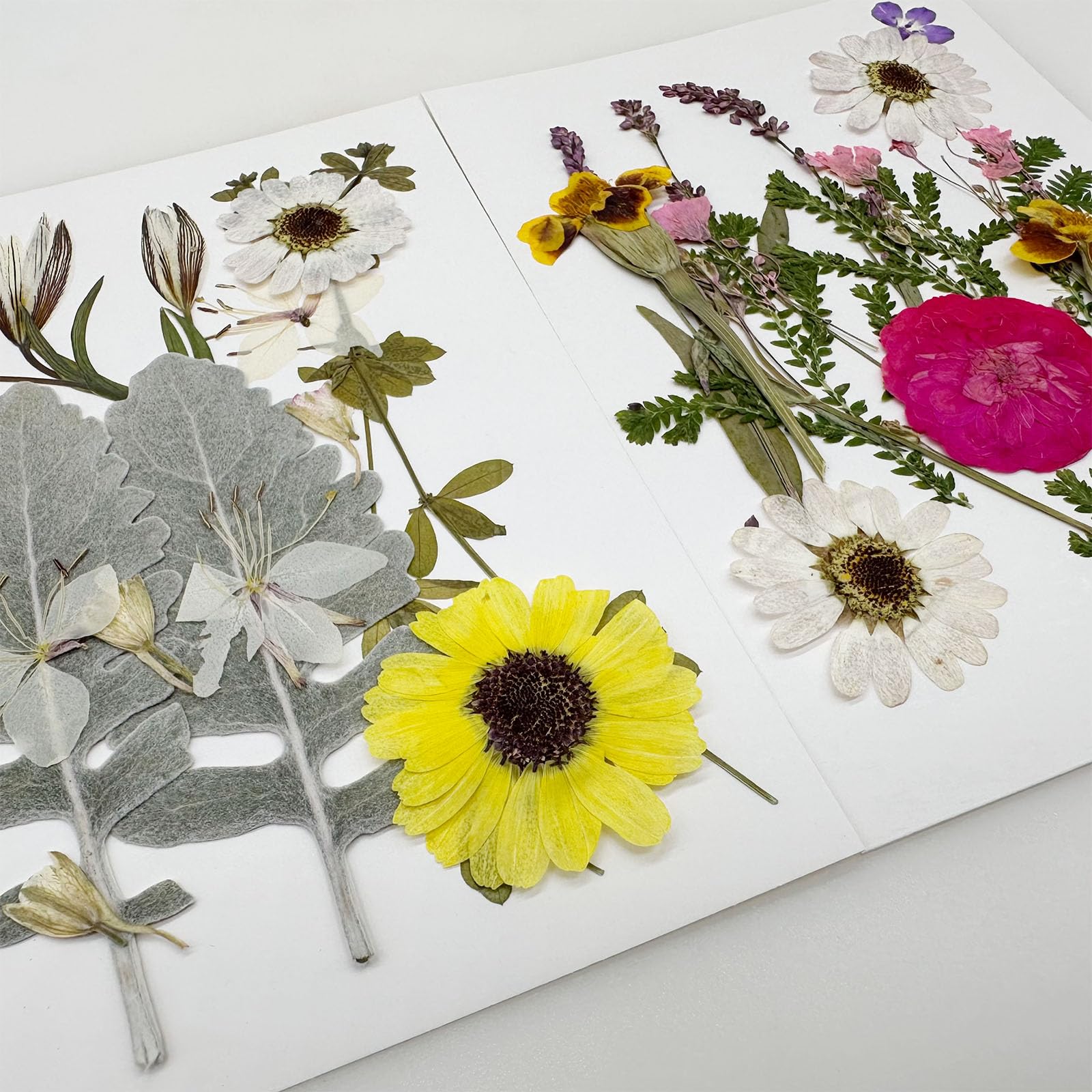 Cayway 4 Pack Pressed Flowers Natural Dried Flowers Colorful Resin Flowers Real Pressed Flowers for Resin Scrapbook DIY Art Crafts Epoxy Resin Jewelry - Image 4