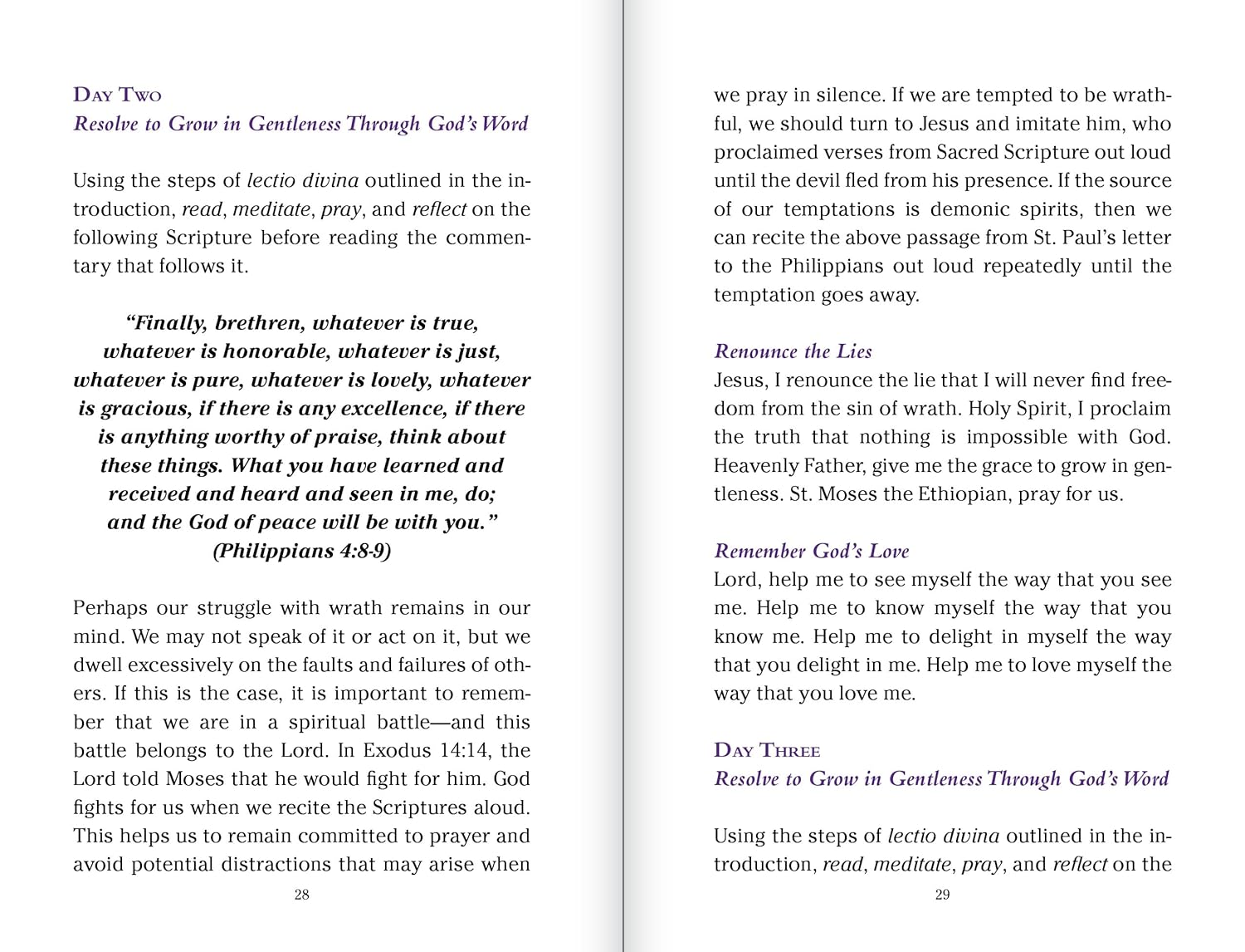 Pocket Guide to Overcoming the Seven Deadly Sins - Image 4