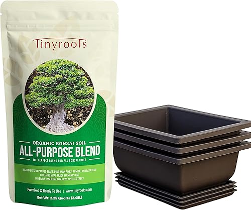 Tinyroots Bonsai Soil Plus un paquete de tres macetas de entrenamiento para bonsái de seis pulgadas