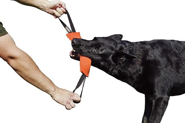 Dingo Gear - Remolque de Nailon para Entrenamiento de Perros IGP IPO Schutzhund para búsqueda ciega de presas…