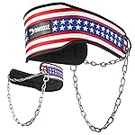 DMoose Dip Belt for Weightlifting, Weight Belt with Chain for Pullup, Gym Lifting Belt for Powerlifting, Squat, Bodybuilding, Heavy Duty Steel, Workout Belt with Comfortable Neoprene Support