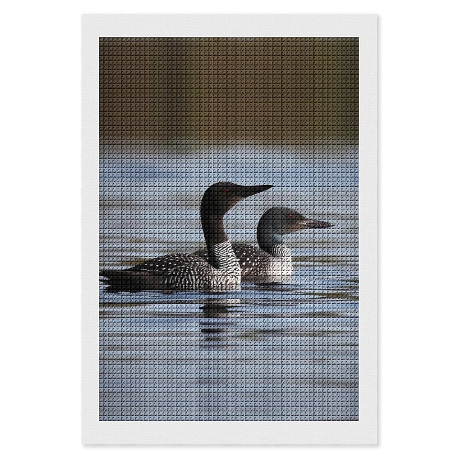 FodPand Loon Birds 5D Diamond Painting Kits for Adults Beginners Full Drill Square Diamond Dots Pictures Gem Art Supplies for Home Wall Room Decoration DIY Craft Set Gift 8x12