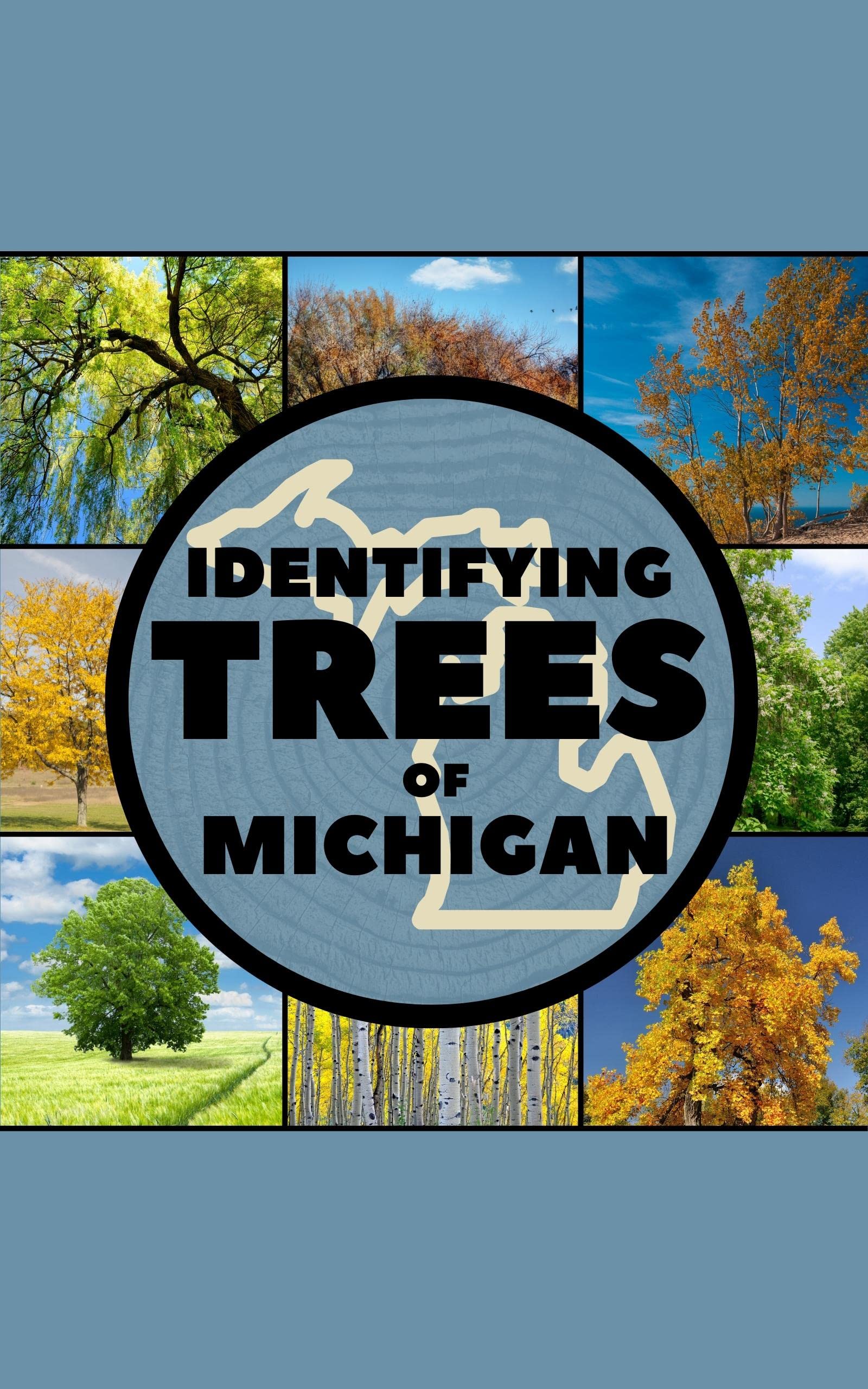 Buy Identifying Trees of Michigan A Simple Identification Guide Book