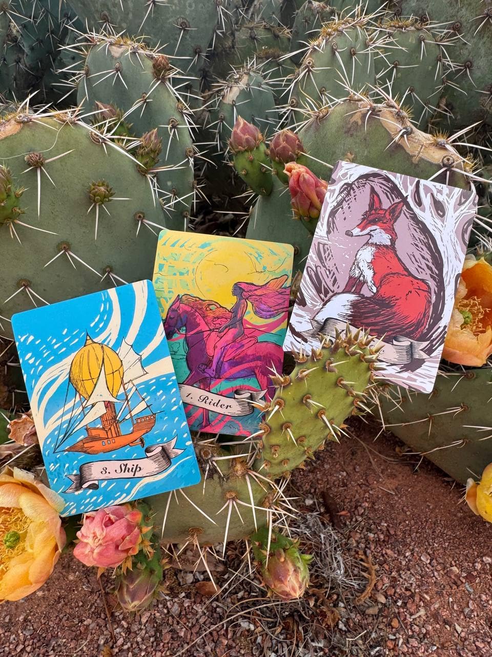 Amazon.com: Elsa's Lenormand Oracle for Beginners Deck- Easy