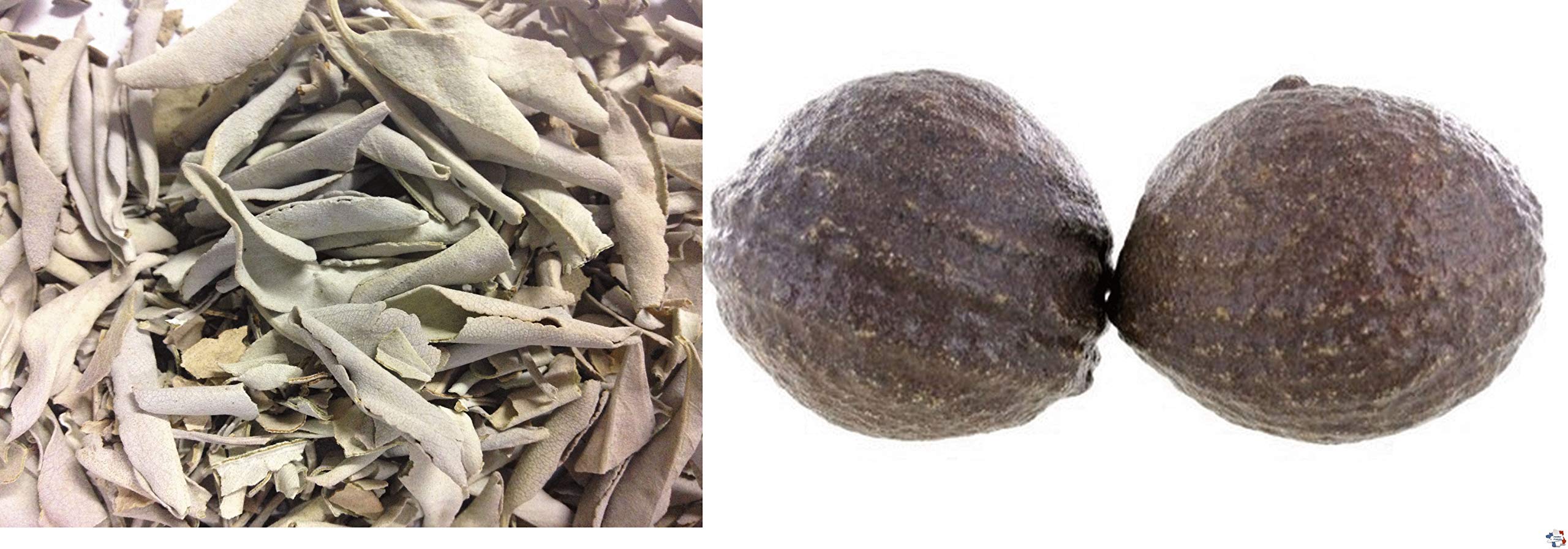 Sauge Blanche en Feuille et Paire de moquis Grand modèle 3 cm
