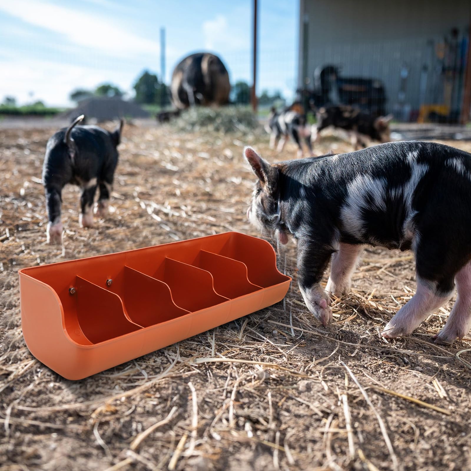 Mangiatoia per Maiali in Plastica 5 Scomparti, Resistente All’usura e Facile da Pulire, Distributore di Mangime per Suinetti per Allevamenti e Forniture Agricole