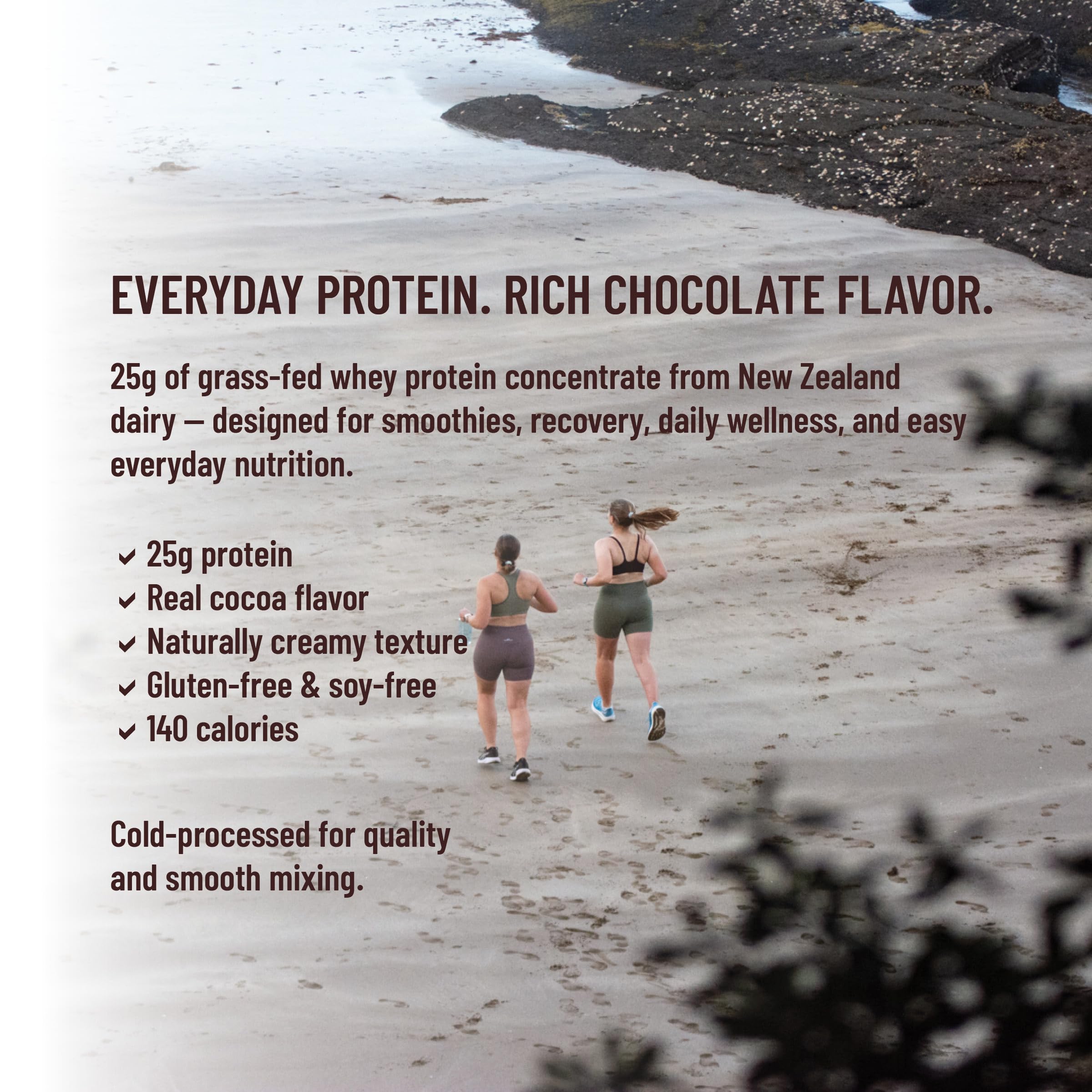 TAHA Chocolate Whey Protein Concentrate, 25g Protein, Grass-Fed, 2lb — Amazon image 3