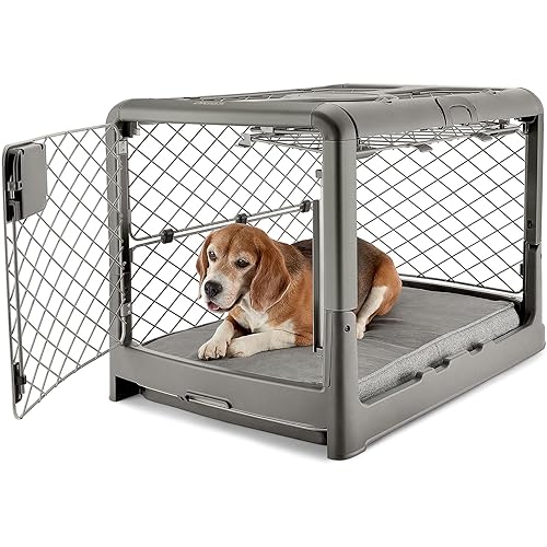 DIGGS Revol Collapsible Dog Crate with Wheels - Premium Portable Dog Crate - Safe, Stylish, and Convenient Indoor Kennel (Smoke, Medium)