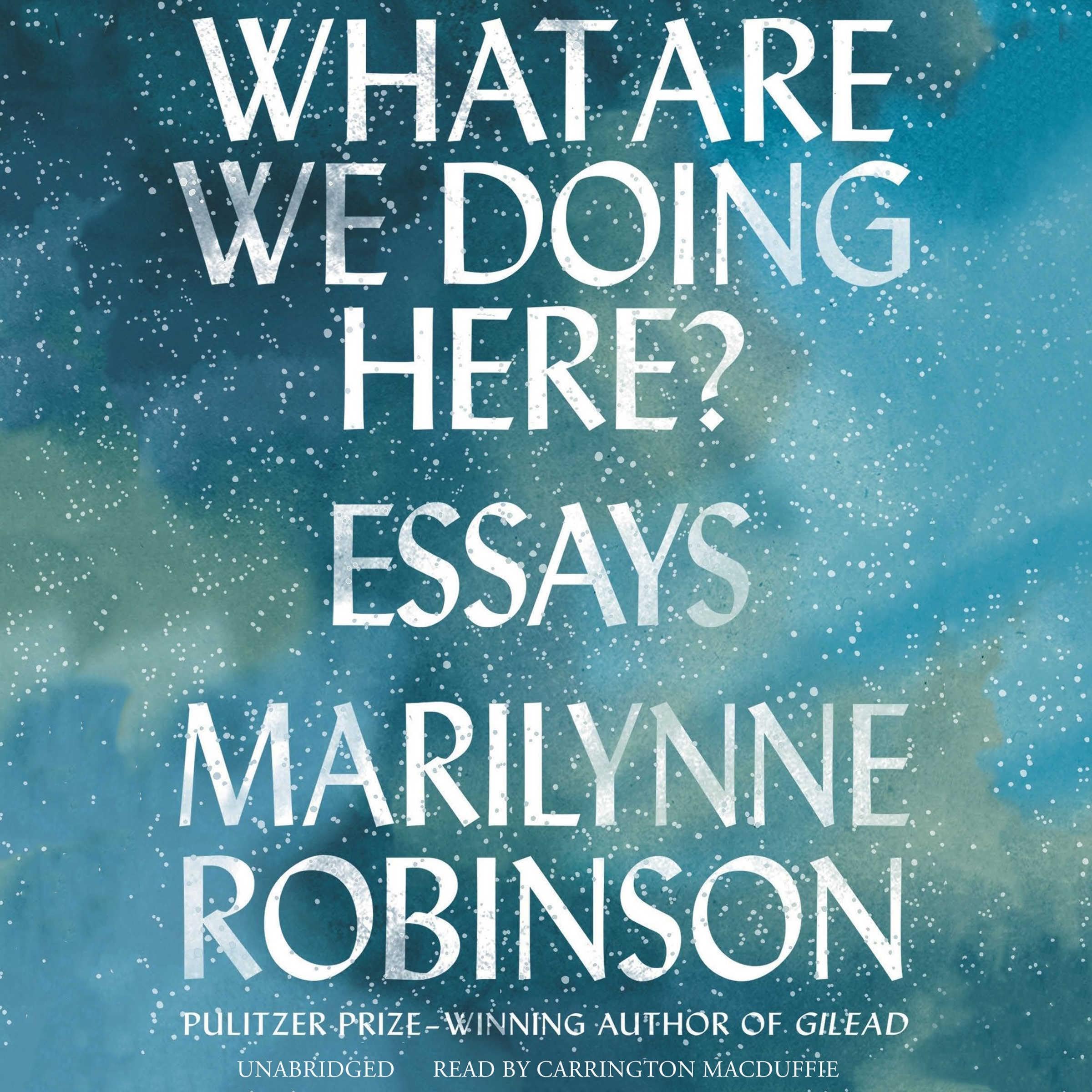 Cover art for What Are We Doing Here?