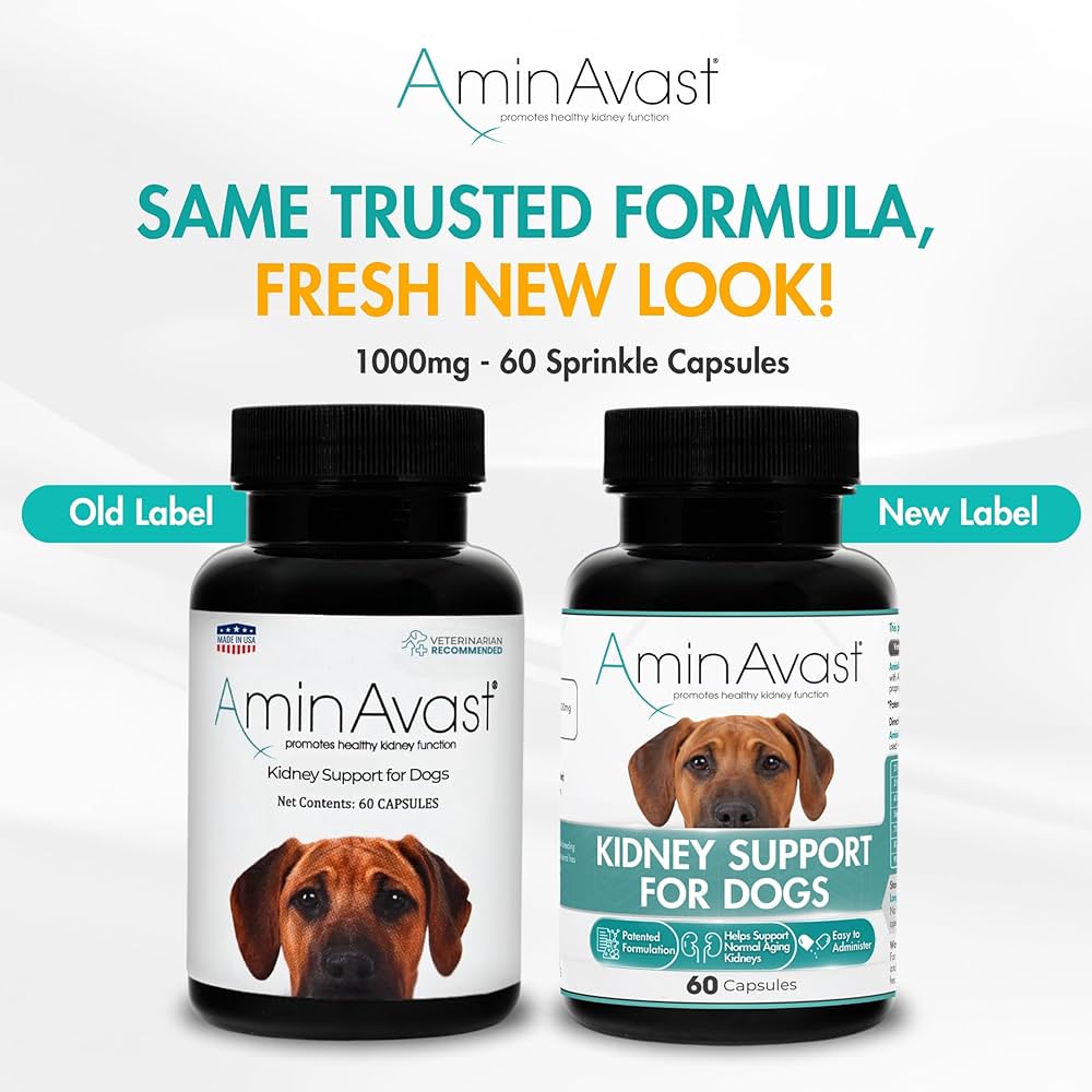 AminAvast 犬用サプリメント 60カプセル、2ボトル Amazon.com : AminAvast Dog Kidney Supplement - Supports