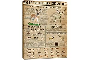 PAIION Deer Knowledge Poster