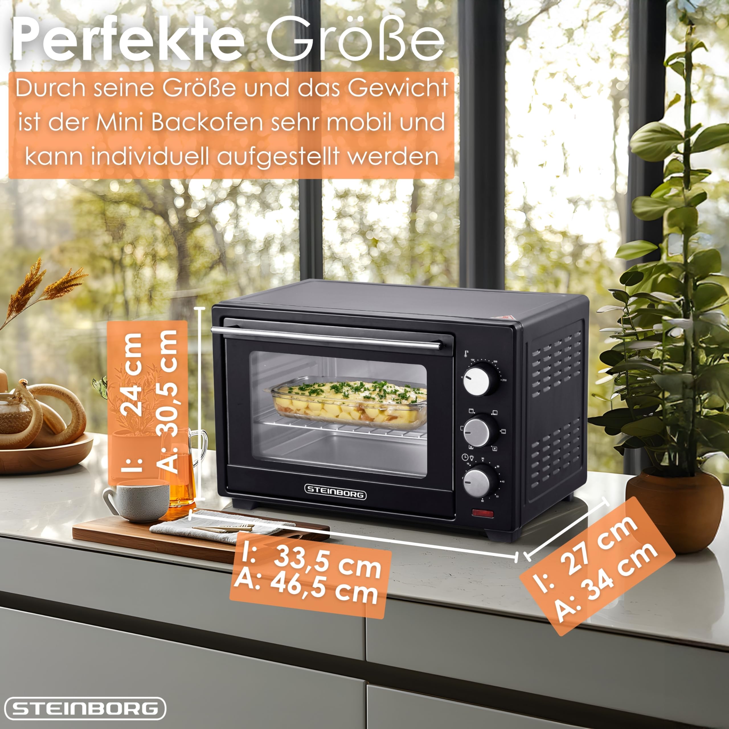 STEInBORG Mini Backofen 25 Liter | Pizza-Ofen | 3in1 Backofen | Minibackofen | Miniofen | Krümelblech | Ober-/Unterhitze | Konvektion | 60 minTimer | 1.600 Watt