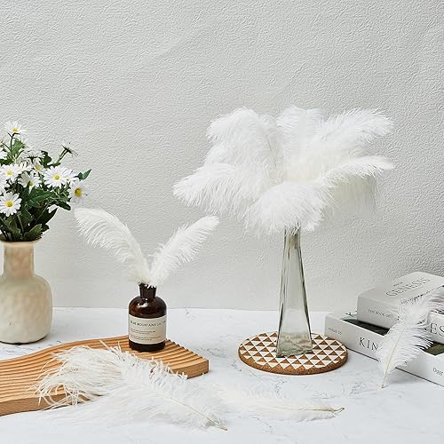 Miniatura 4 de Tigeen 200 plumas de avestruz blancas a granel de 8-10 pulgadas7.9-9.8 in pequeñas plumas de avestruz para el hogar, manualidades, decoración,