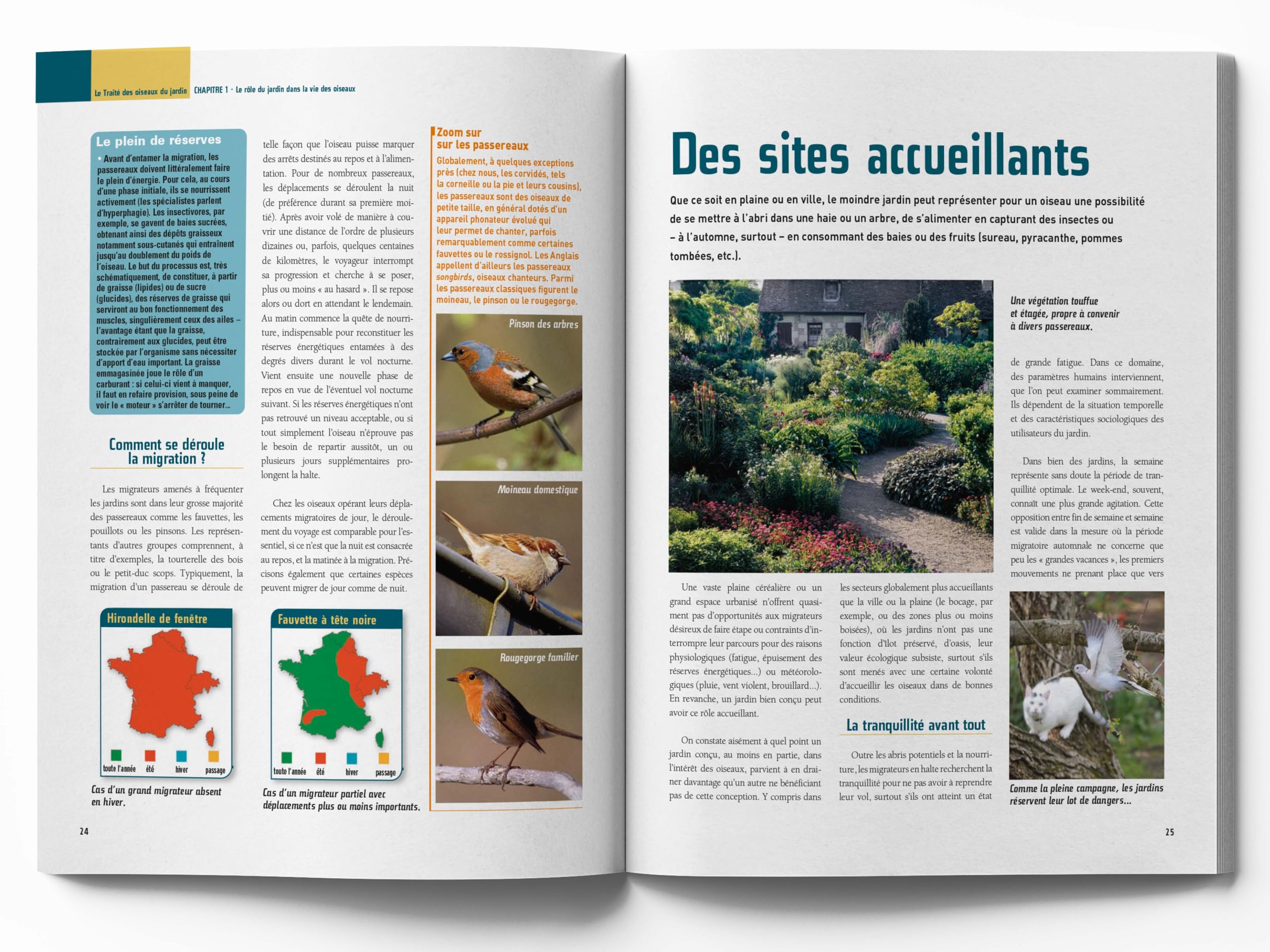 Le traité Rustica des oiseaux: Des jardins, des bois et des campagnes