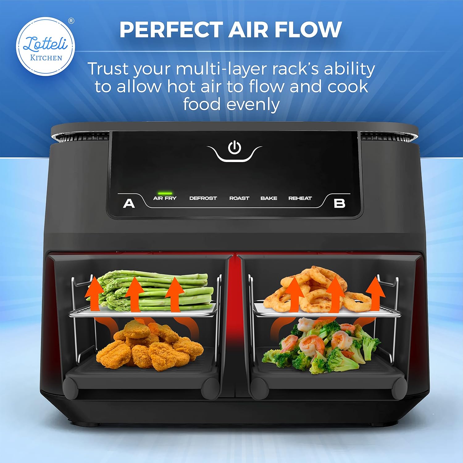 LOTTELI KITCHEN Air Fryer Rack for Double Basket Air Fryers, 304 Stainless Steel Multi-Layer Rack, Air Fryer Accessories Dehydrator Rack Compatible with Dual/Double/Two Basket Air Fryers : Home & Kitchen