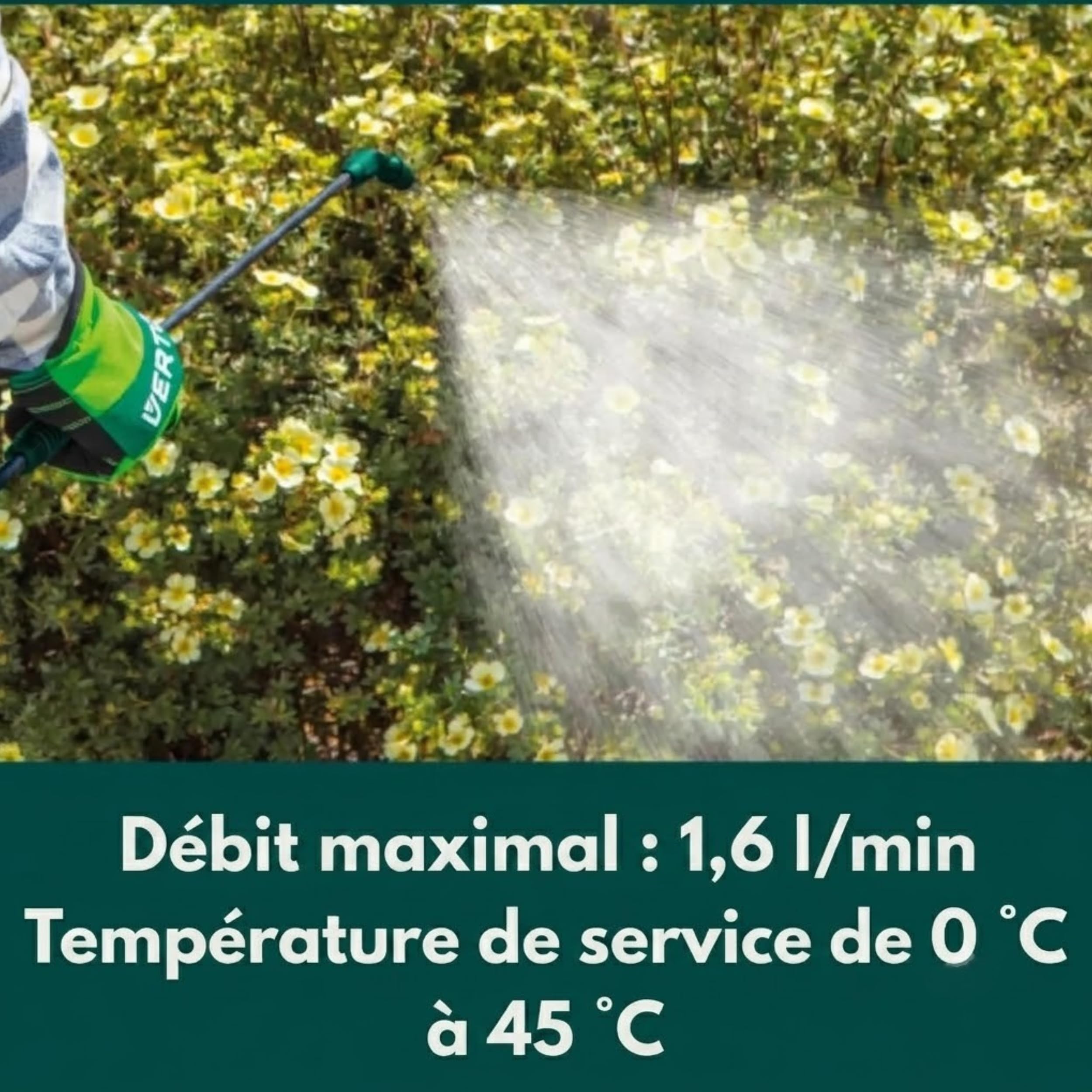 Pulvérisateur à pression professionnel pour le dos 20 l
