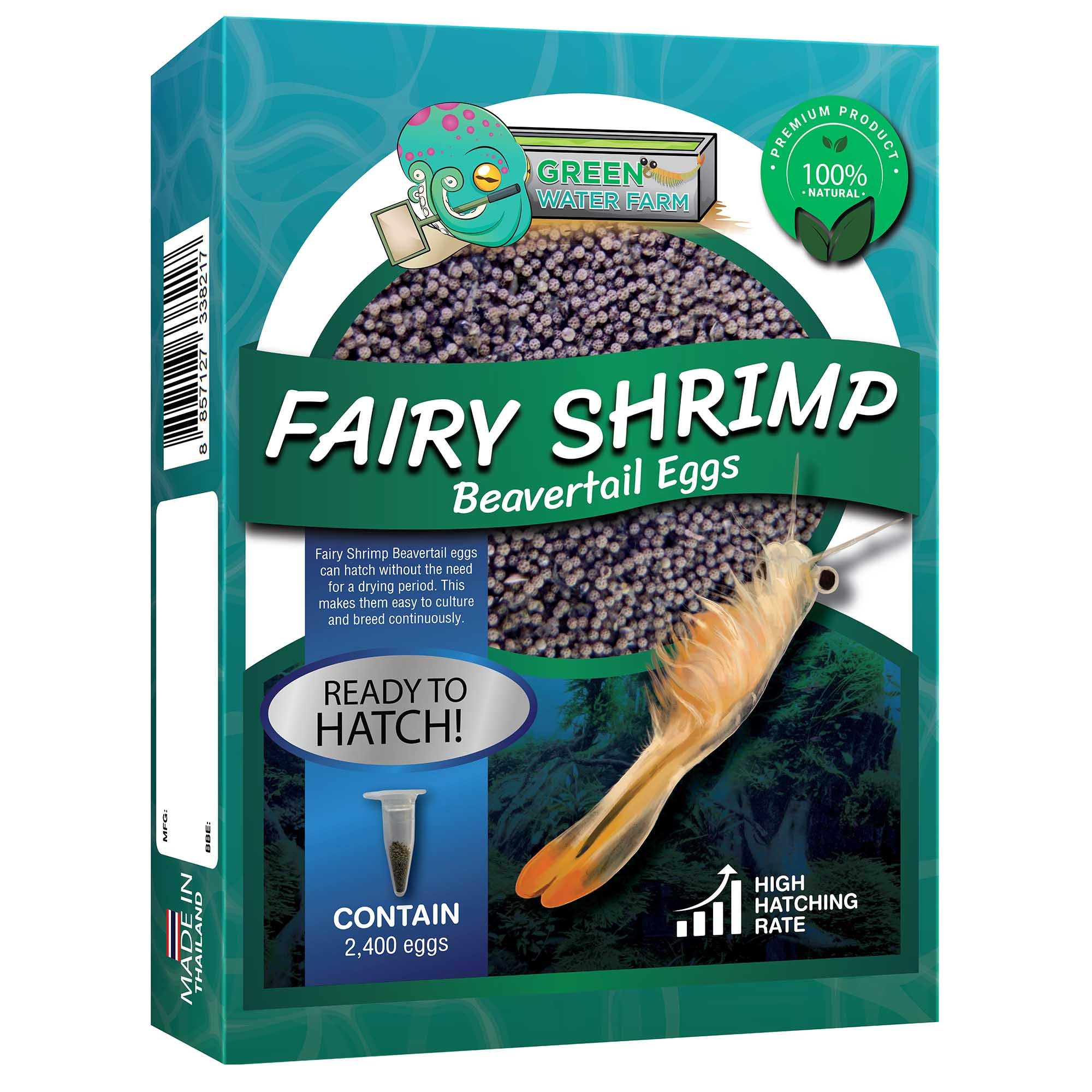 Greenwaterfarm [Fairy Shrimp Beavertail Eggs] Gillfoot Beavertail Eggs; Live Fish Food for Hatching, Suitable for Feeding Betta Fish