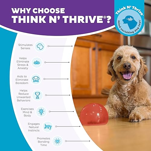 Miniatura 8 de Planet Dog Orbee-Tuff Lil' Snoop - Juguete interactivo para perros dispensador de premios, pequeño, rojo