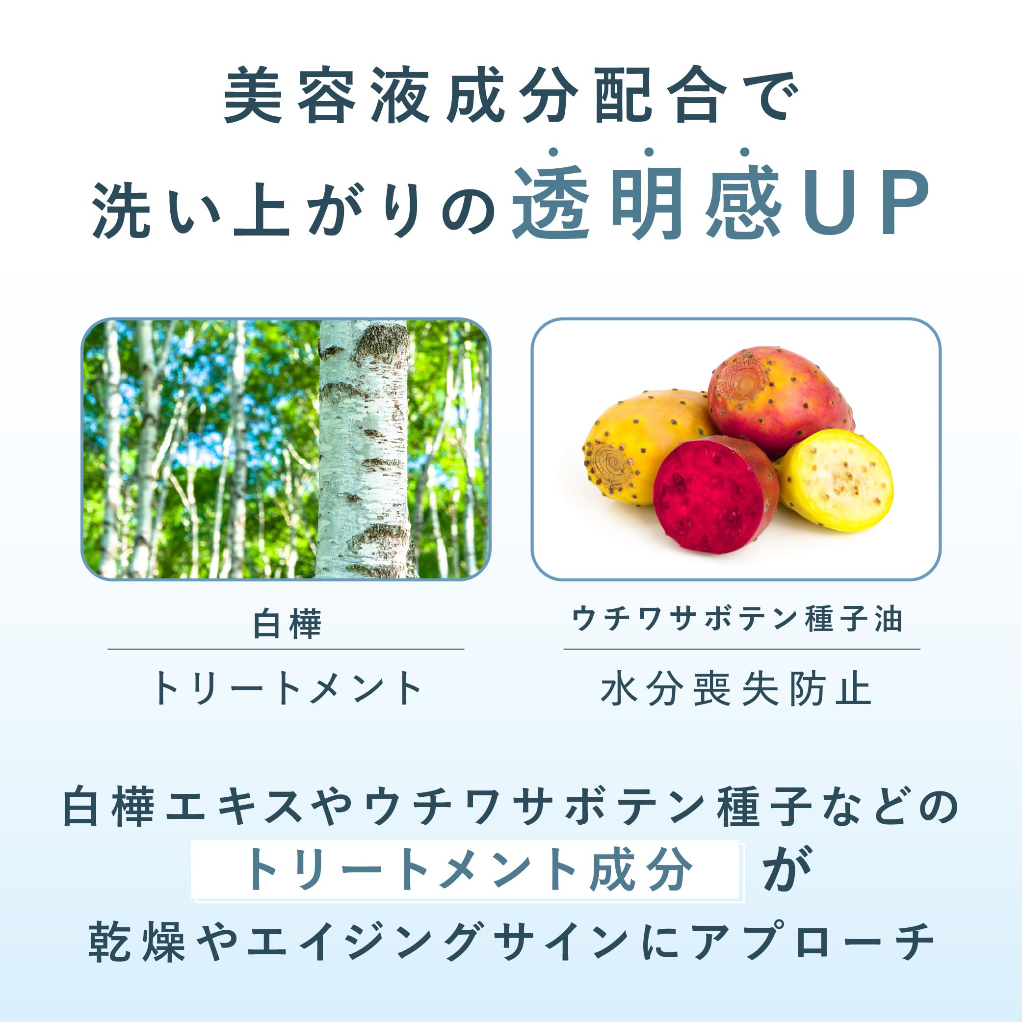 Amazon | SINN PURETE （ シンピュルテ ） ピュアクレンジング