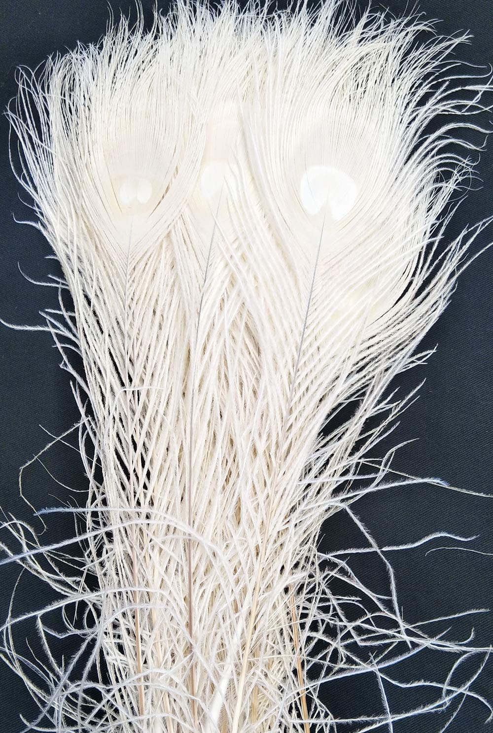 wanjin Bleached Dyeing Peacock Feathers 10-12 inch /25-30cm for DIY Craft Wedding Decoration per Pack of 20 (Beige)