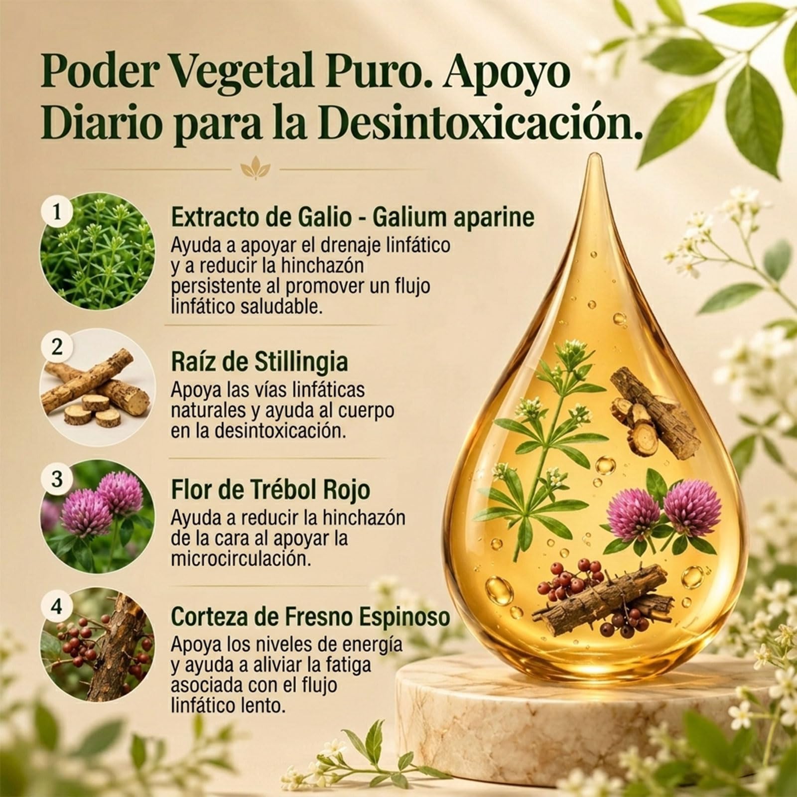 Linea Drenaggio Linfatico Gocce, Gocce di Benessere peril Drenante Linfatico, Formula Erboristica Naturale,Senza Glutine, Adatte per Donne e Uomini (1)