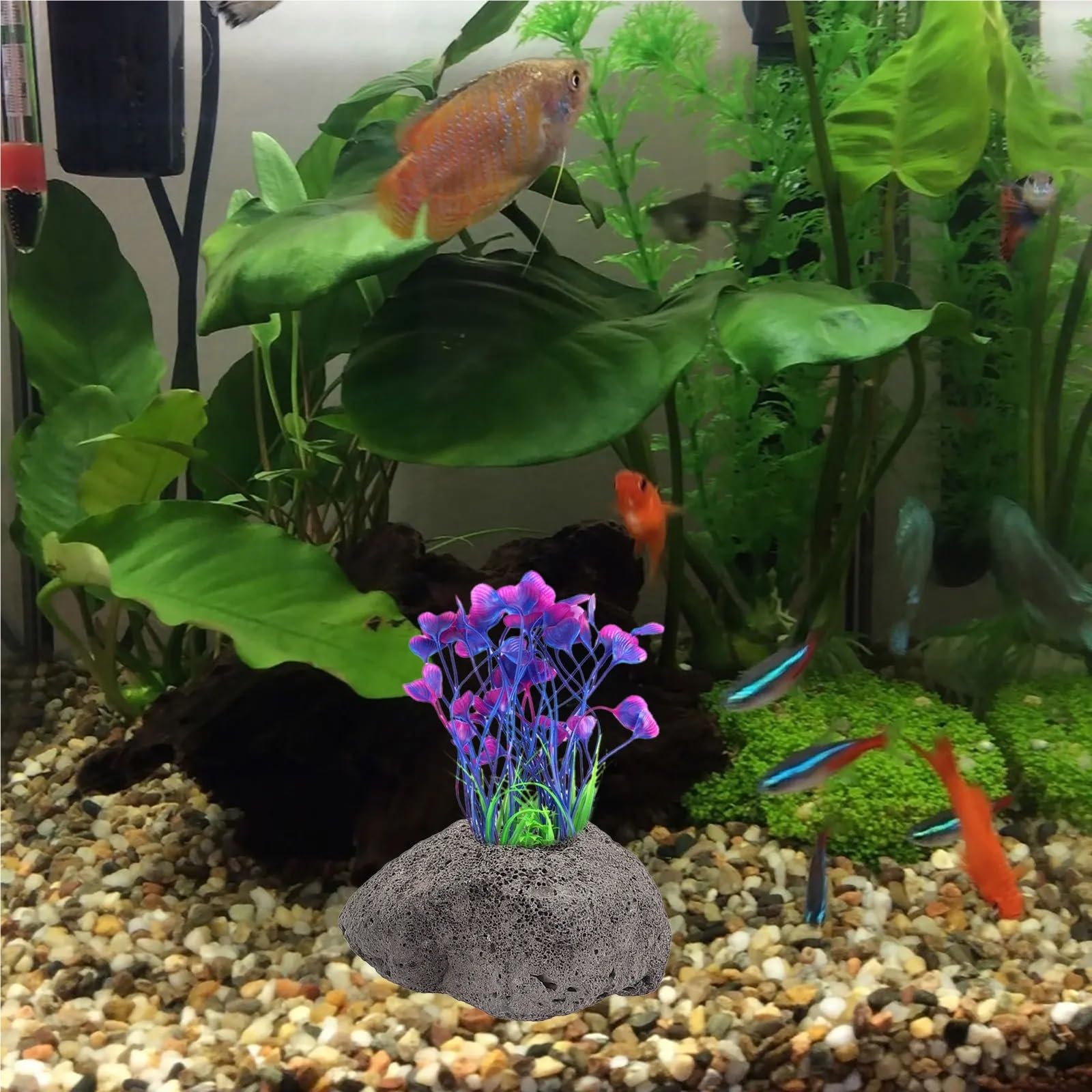 Lot de 10 pierres volcaniques décoratives pour aquarium Style naturel