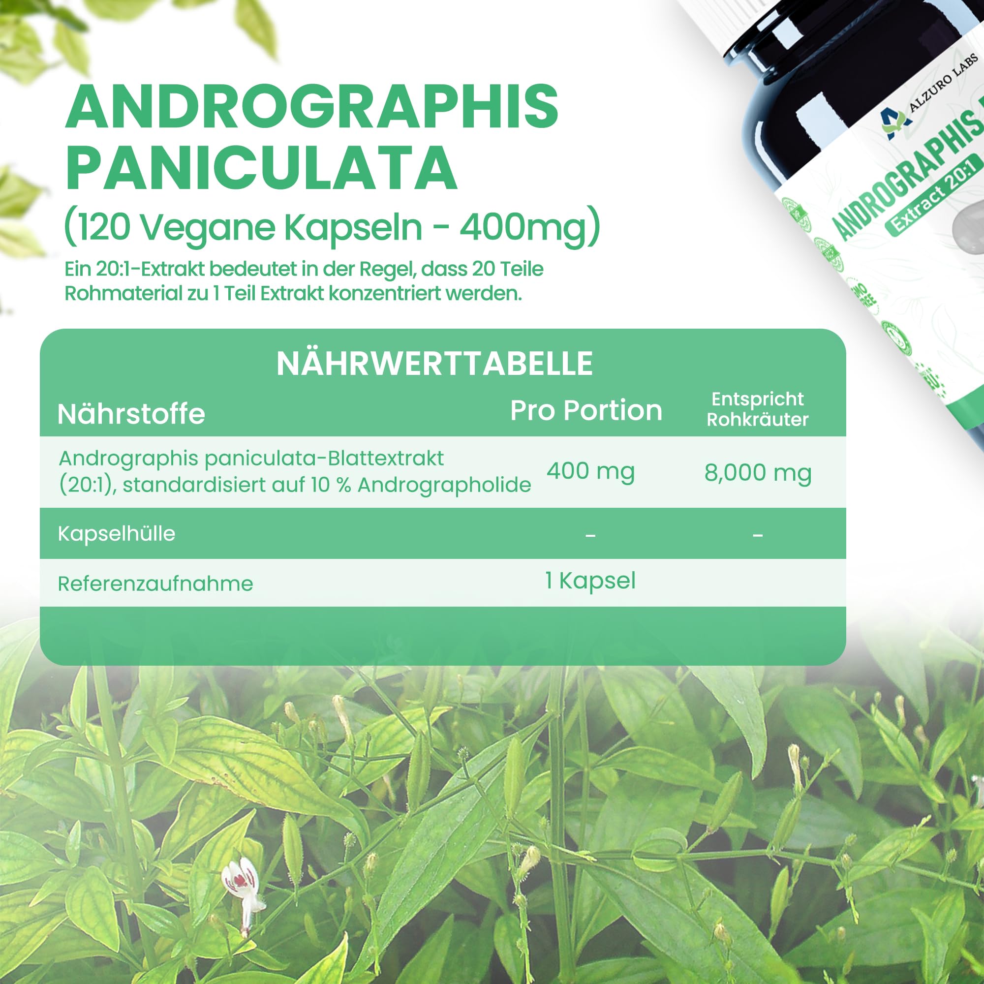 Andrographis paniculata | 8.000 mg Äquivalent | Hochdosiert 400 mg 20:1 Extrakt (10% Andrographolide) | 120 vegane Kapseln | GMP & Laborgeprüft