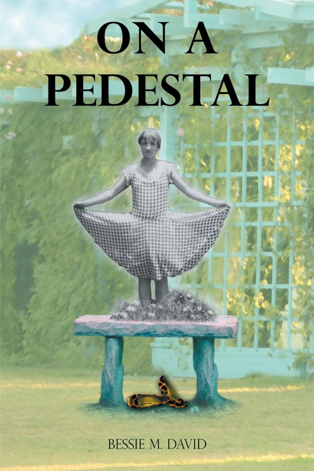 On a Pedestal Kindle edition by David, Bessie M.. Literature