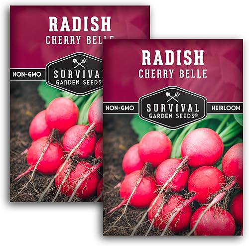 Miniatura 10 de Survival Garden Seeds - Semilla de rábano Cherry Belle para plantar - Paquete con instrucciones para plantar y cultivar deliciosos rábanos rojos de